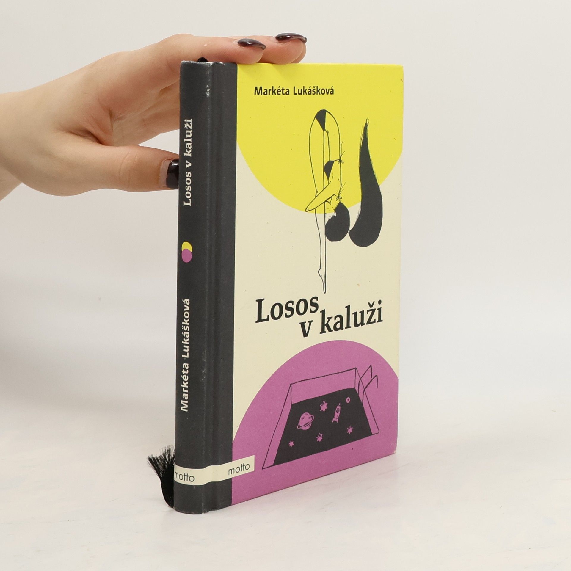 Markéta Lukášková Losos v kaluži