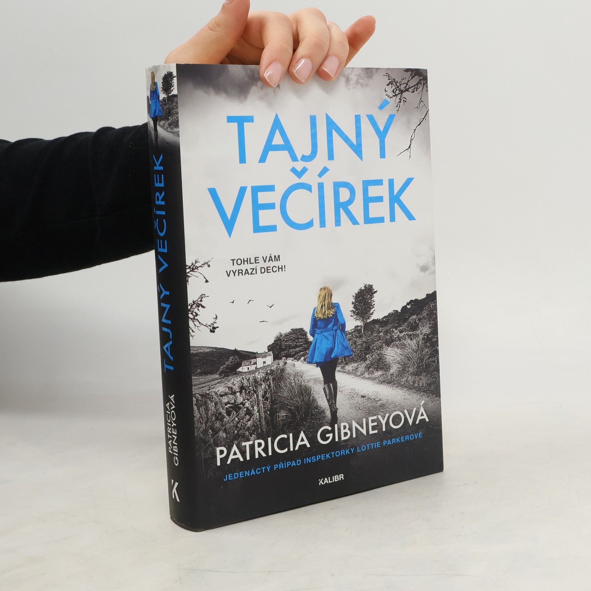 Patricia Gibney Tajný večírek