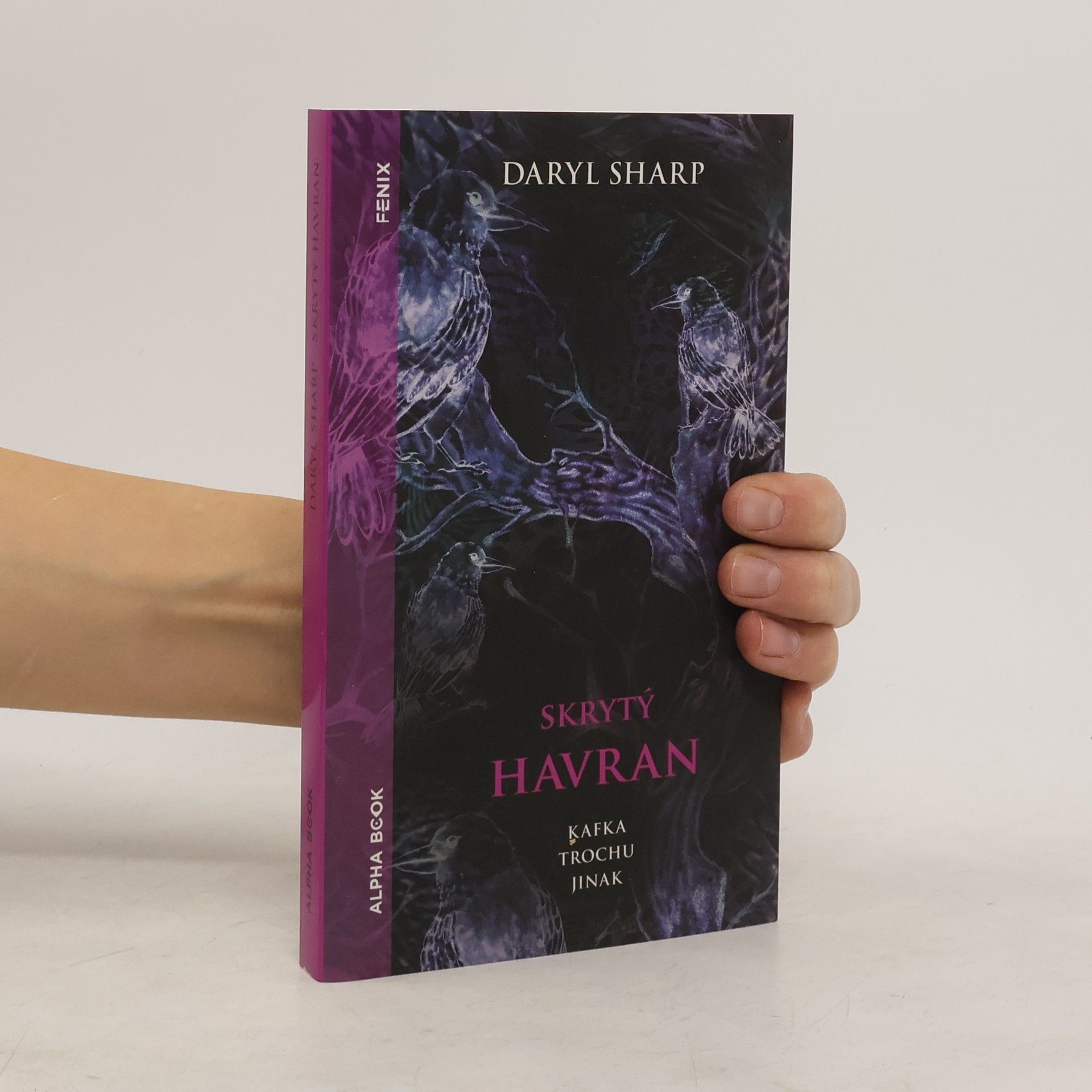 Skrytý havran : Kafka trochu jinak