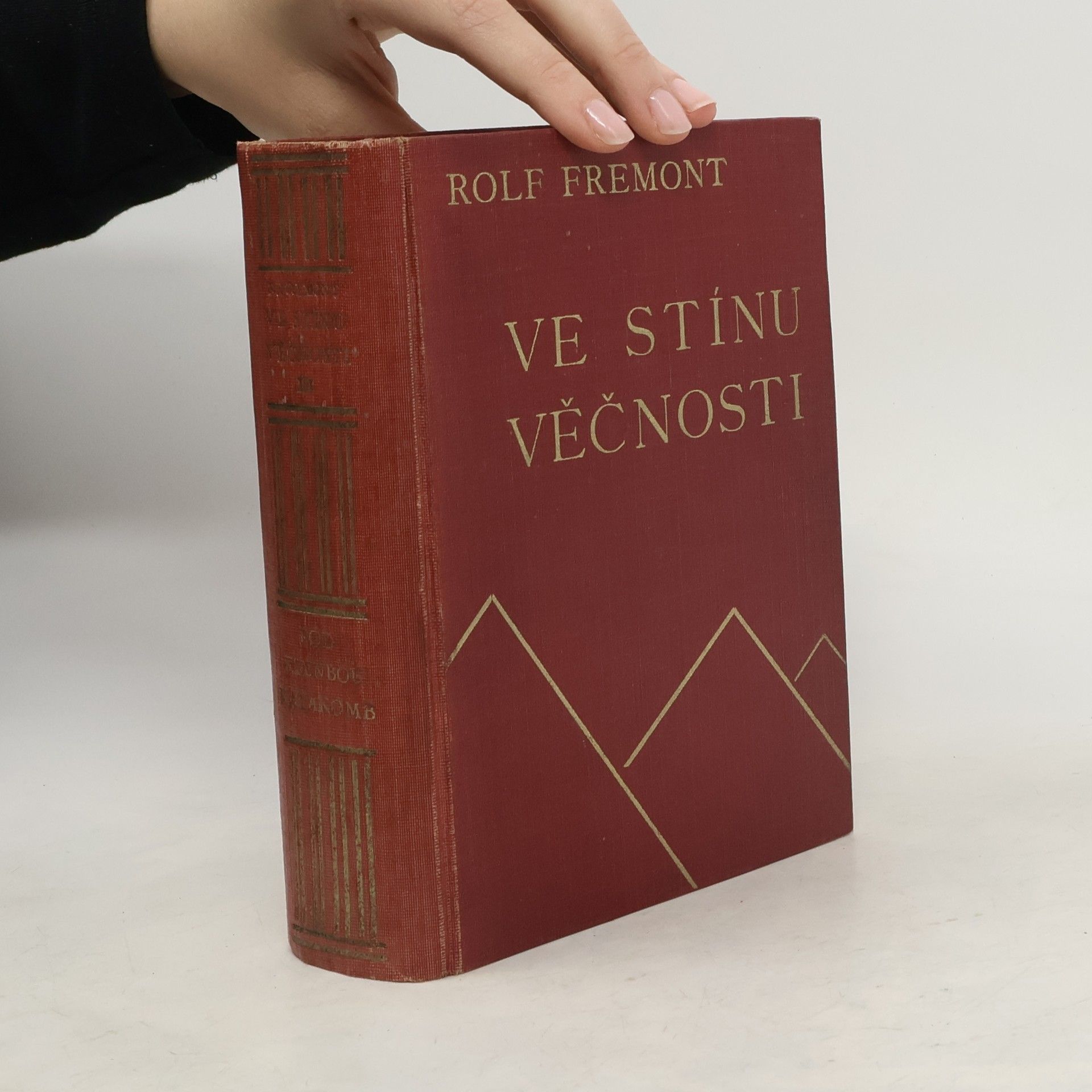 Rolf Fremont Ve stínu večnosti II