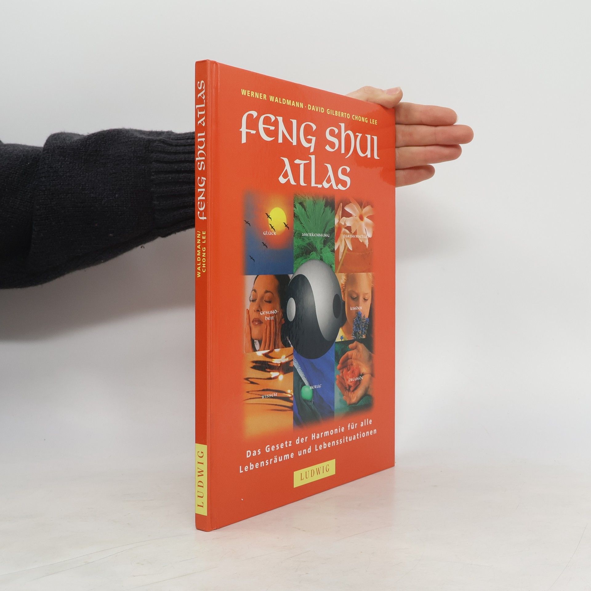 Werner Waldmann Feng-Shui-Atlas