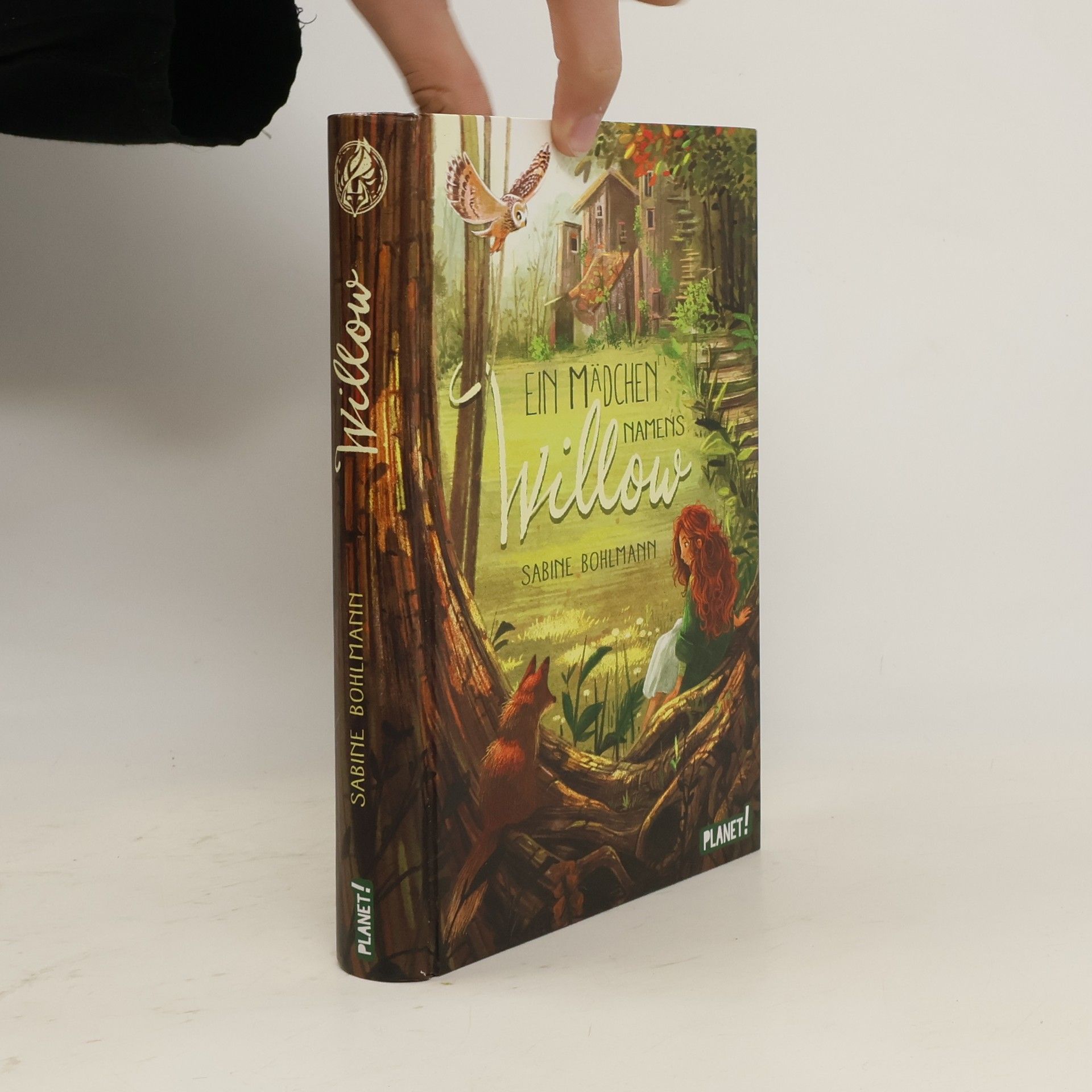 Sabine Bohlmann Ein Mädchen namens Willow