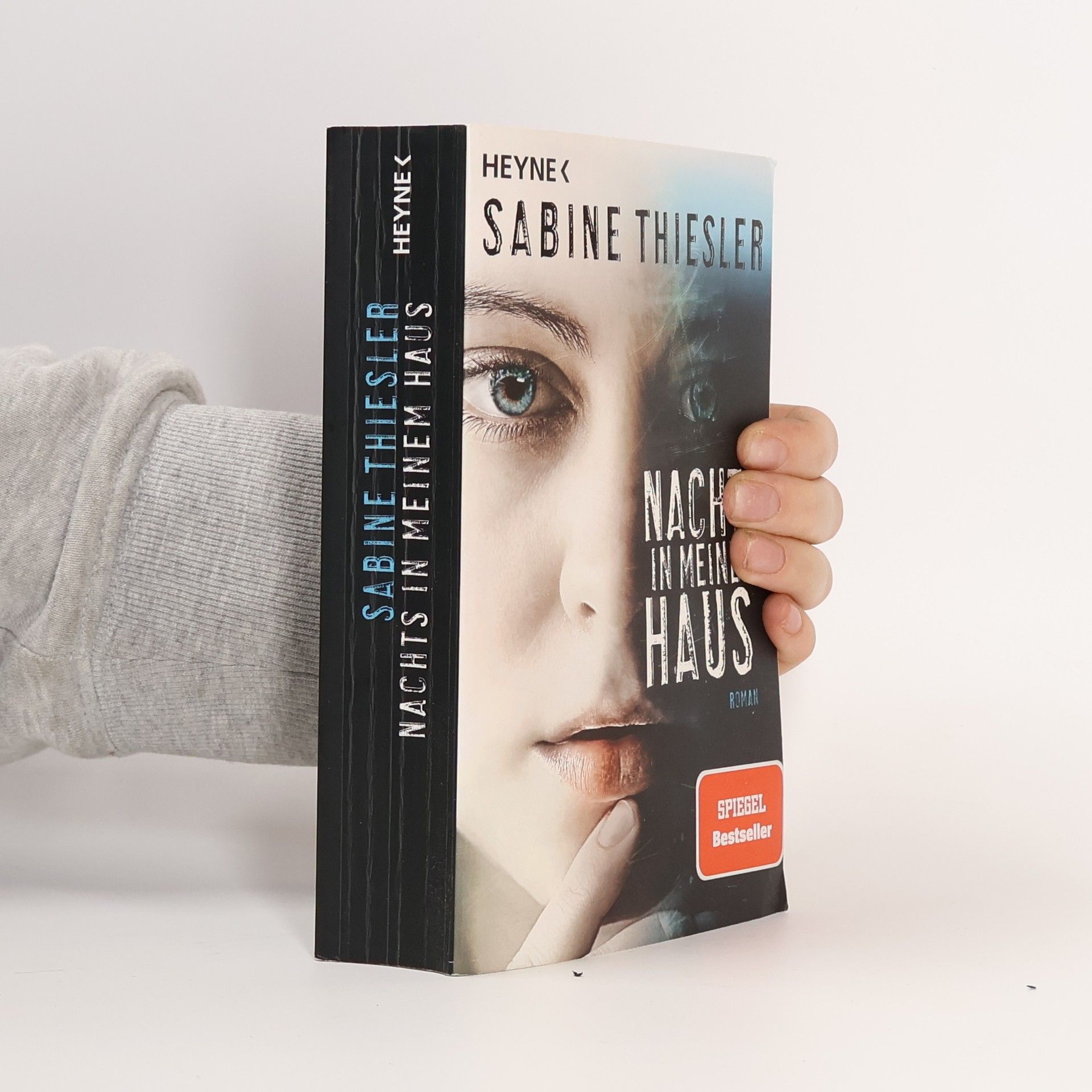 Sabine Thiesler Nachts in meinem Haus