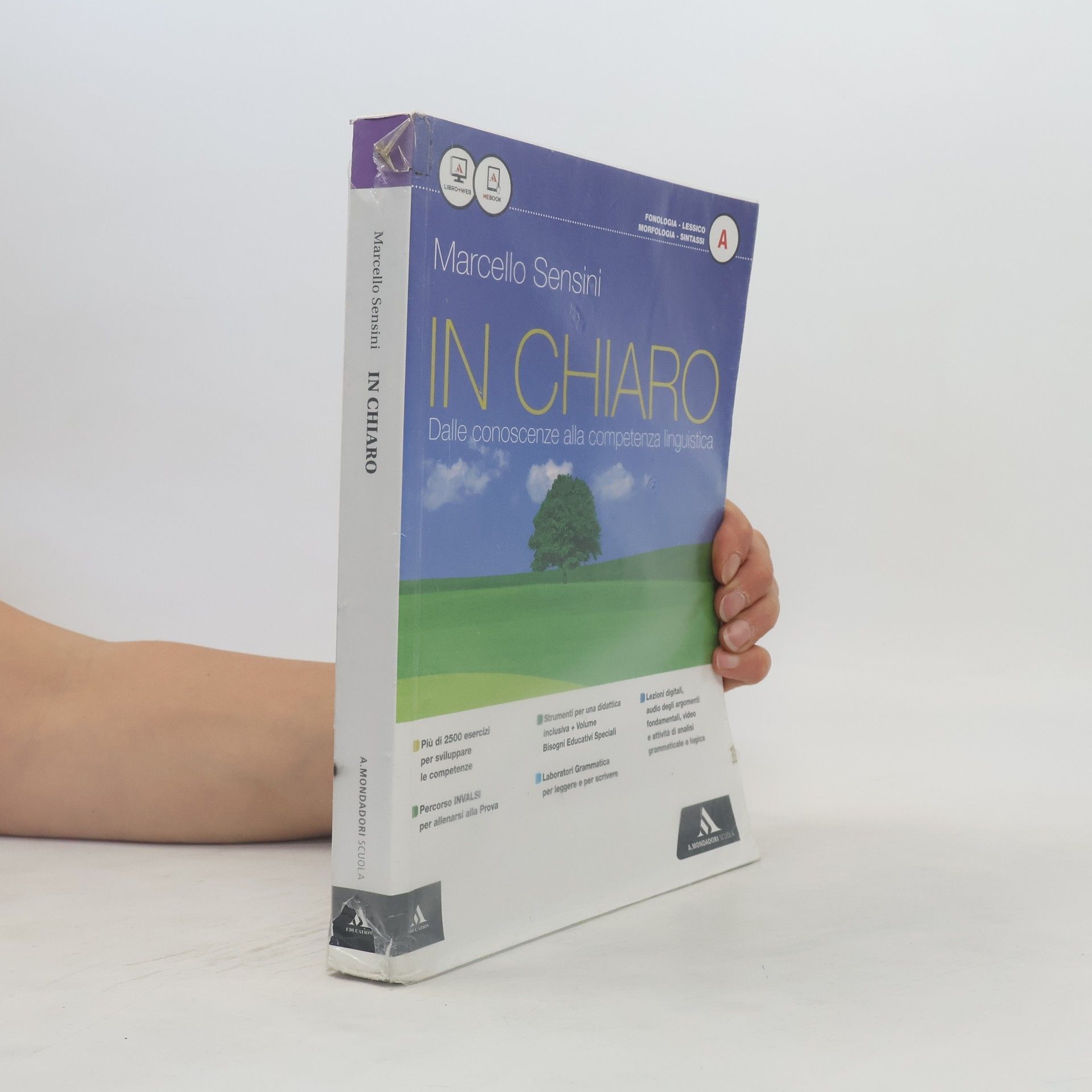 Marcello Sensini In chiaro A