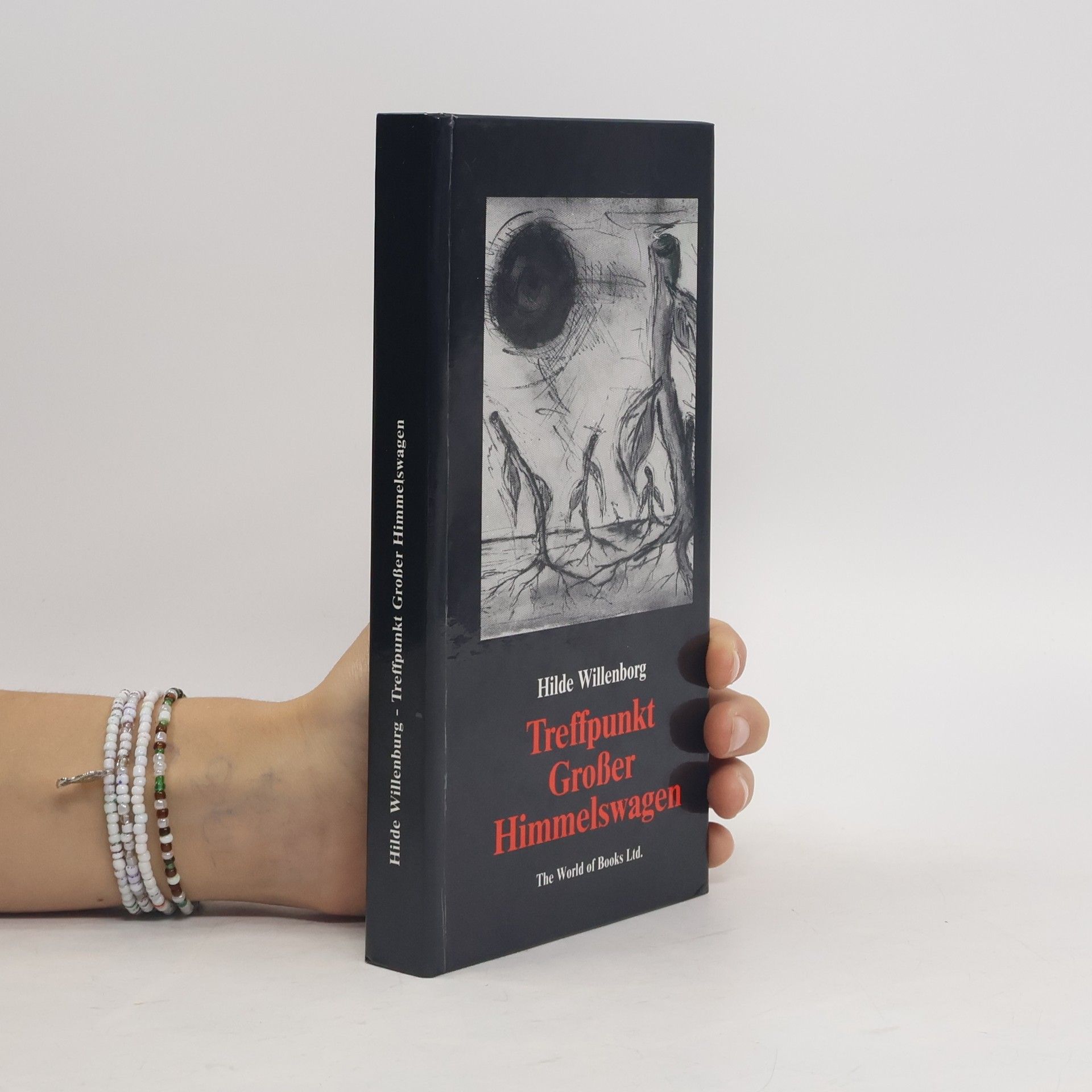 Hilde Willenburg Treffpunkt Großer Himmelswagen
