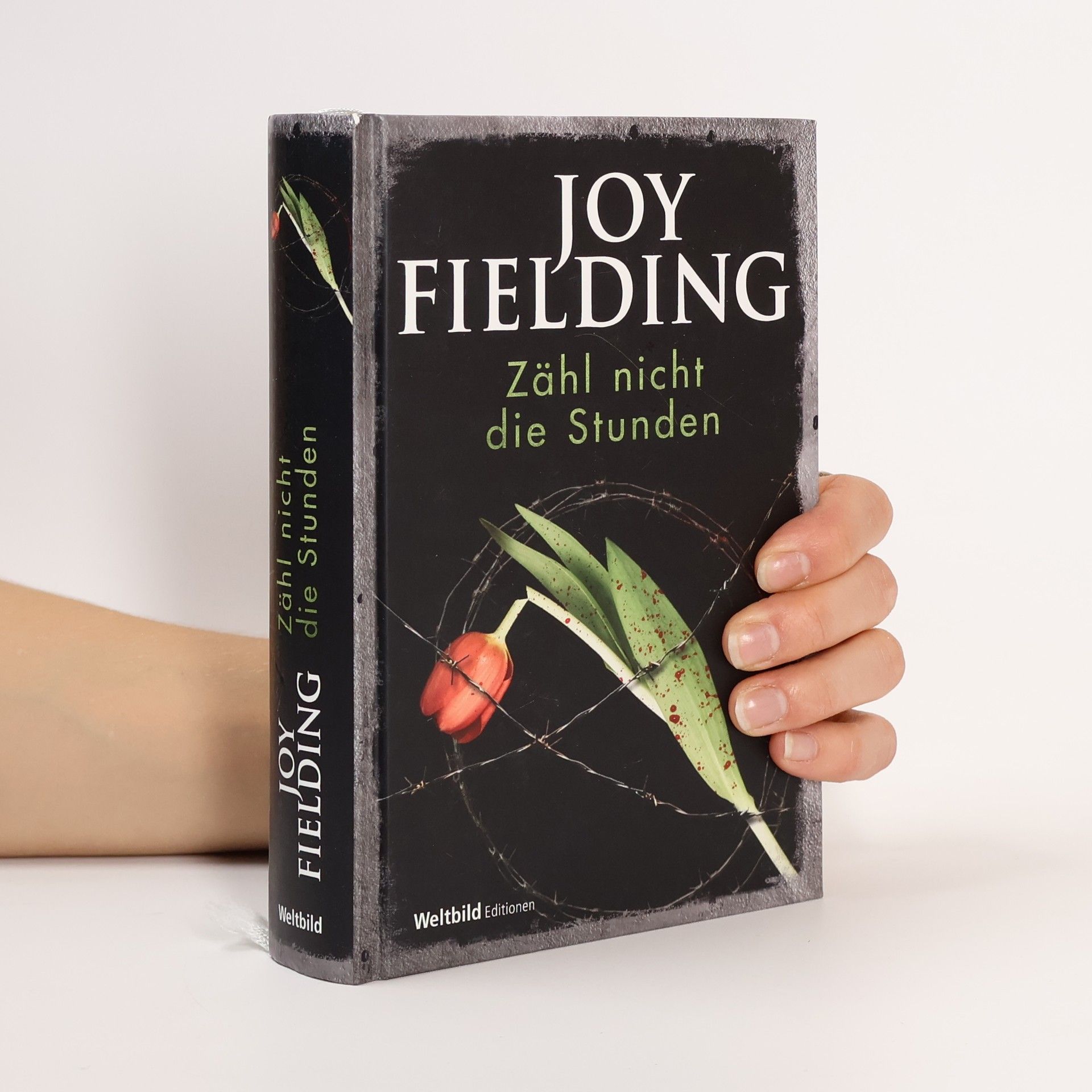 Joy Fielding Zähl nicht die Stunden