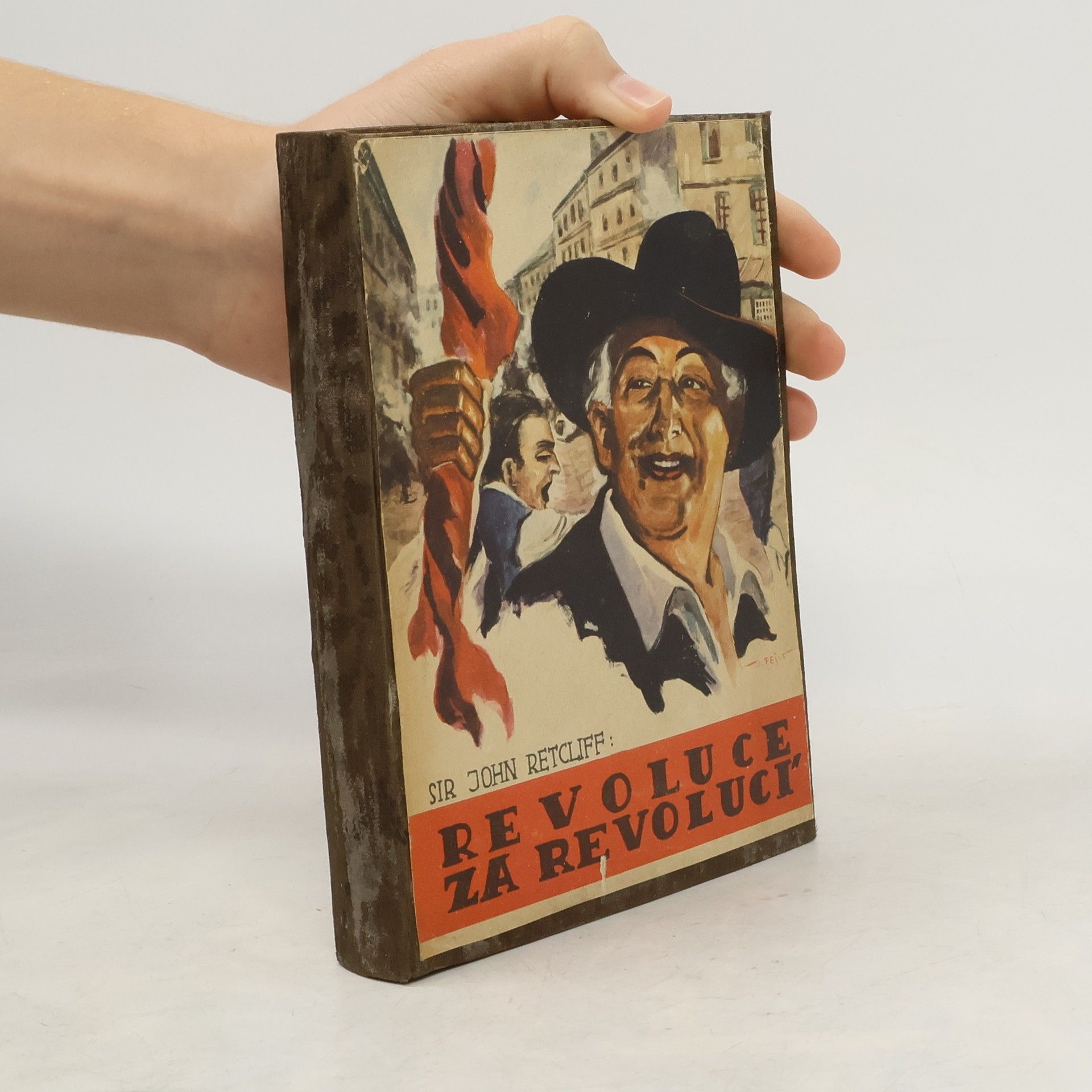 Revoluce za revolucí. Giuseppe Garibaldi, Aniella