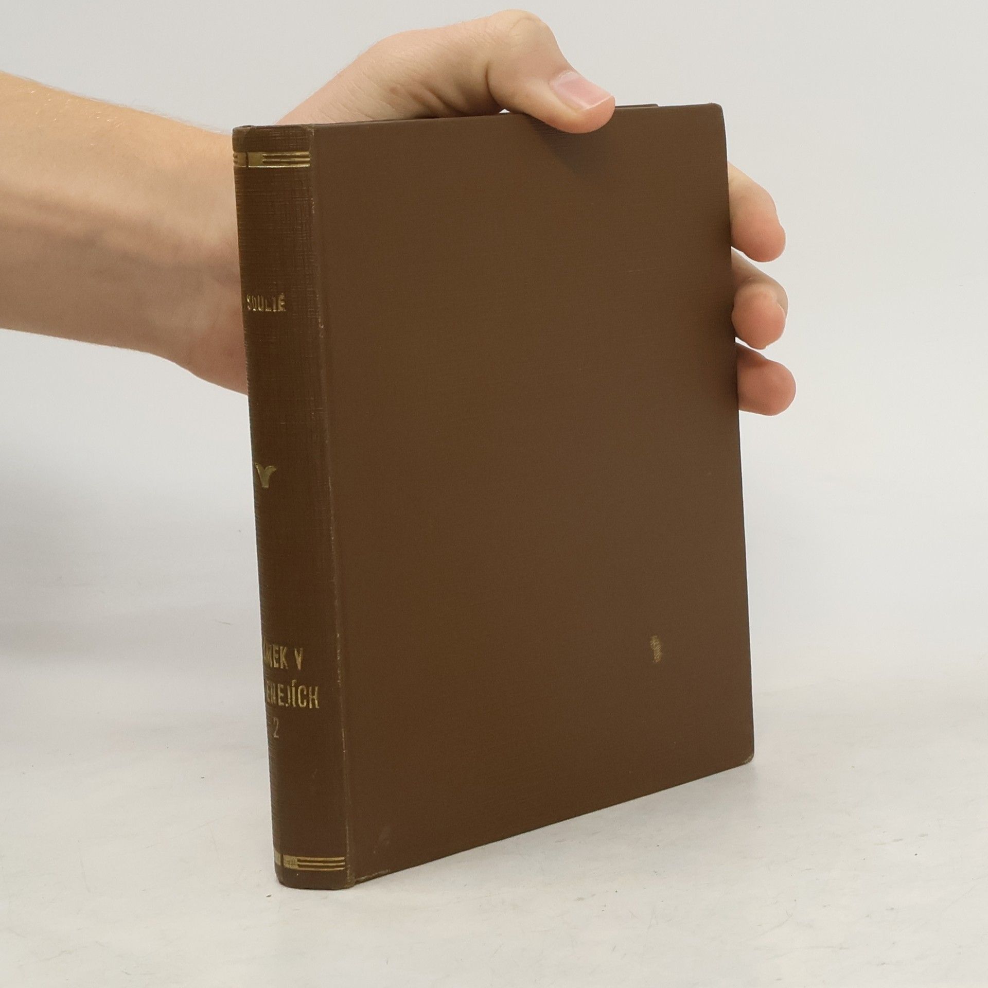 Zámek v Pyrenejích, díl II