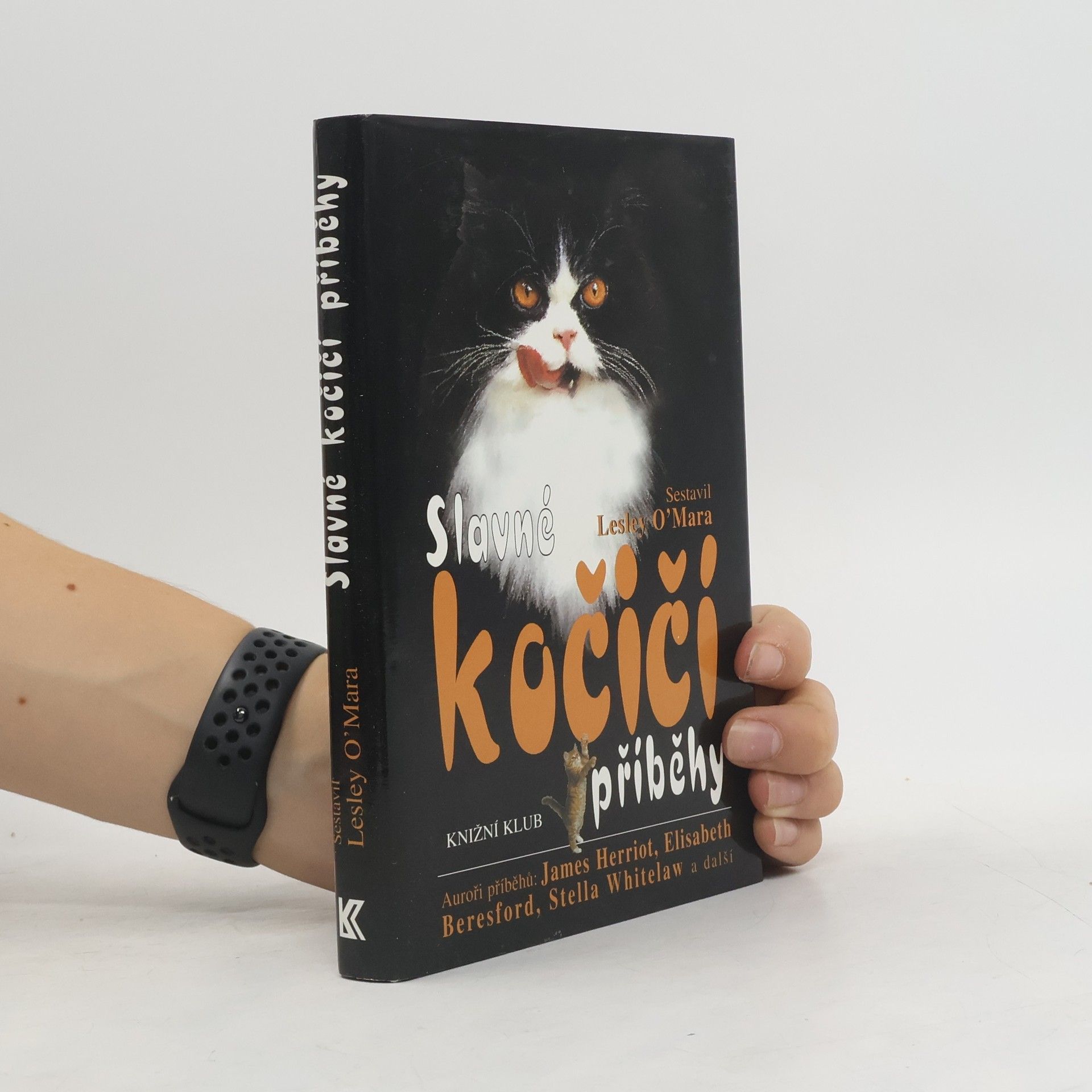 Lesley OMara Slavné kočičí příběhy