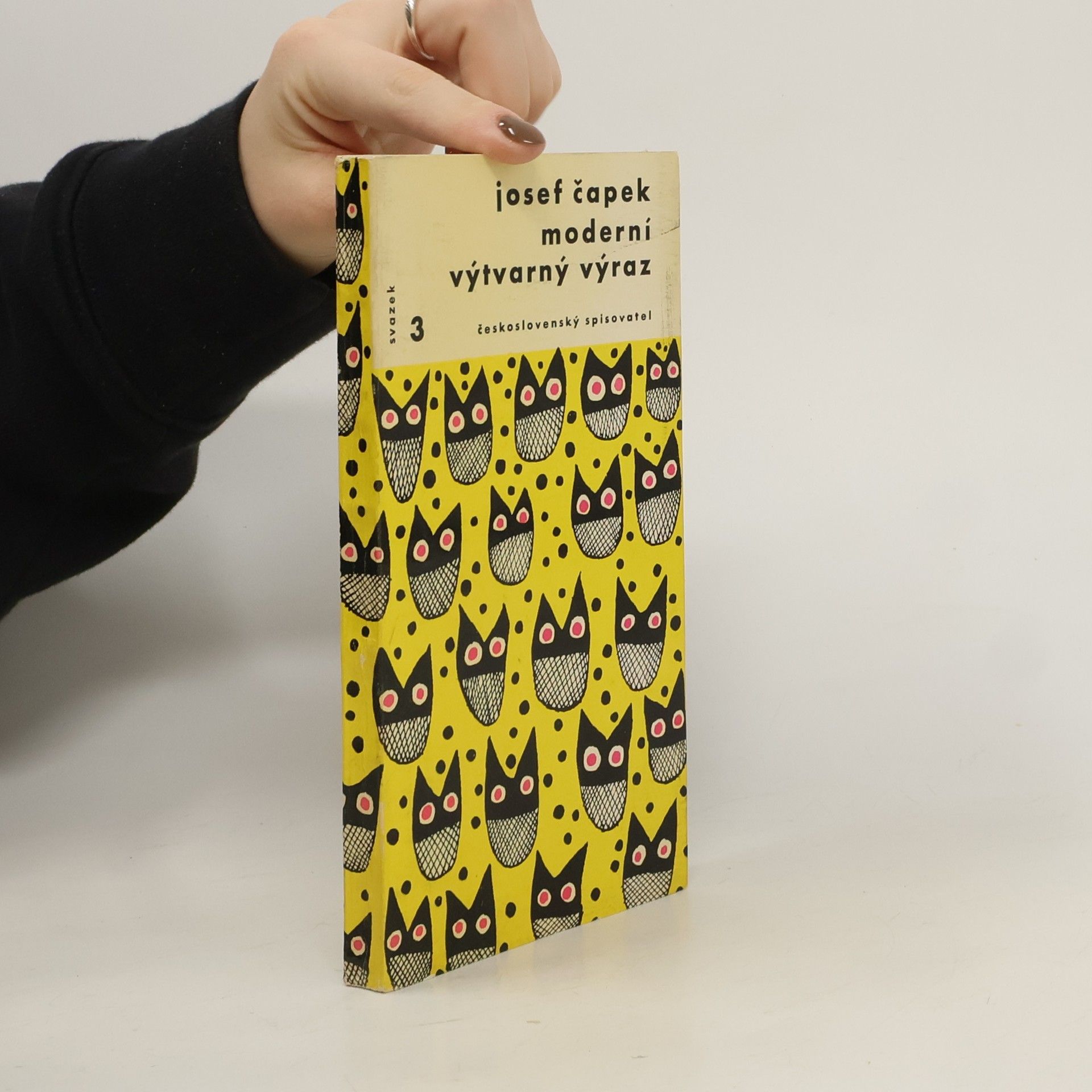 Josef Čapek Moderní výtvarný výraz