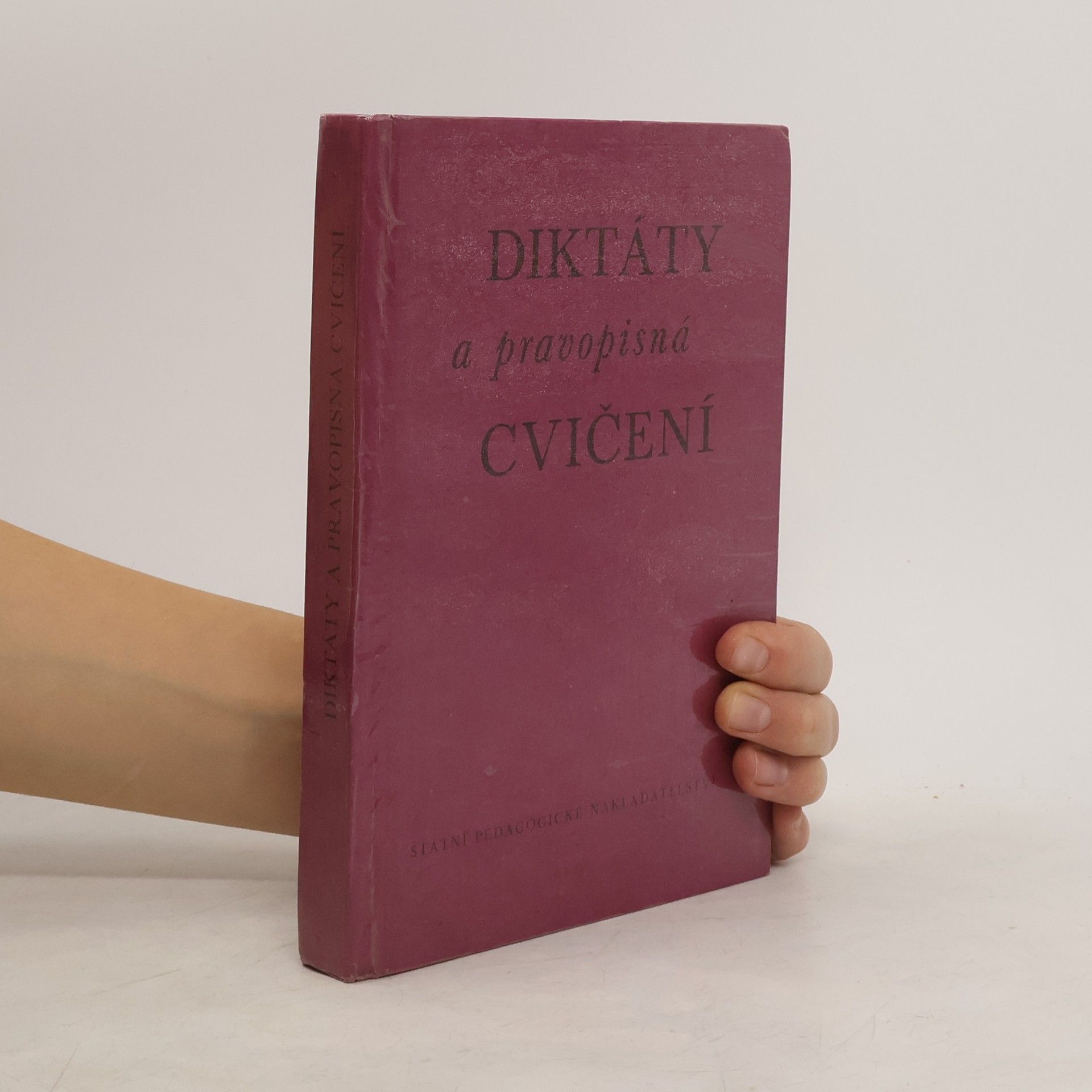 Diktáty a pravopisná cvičení