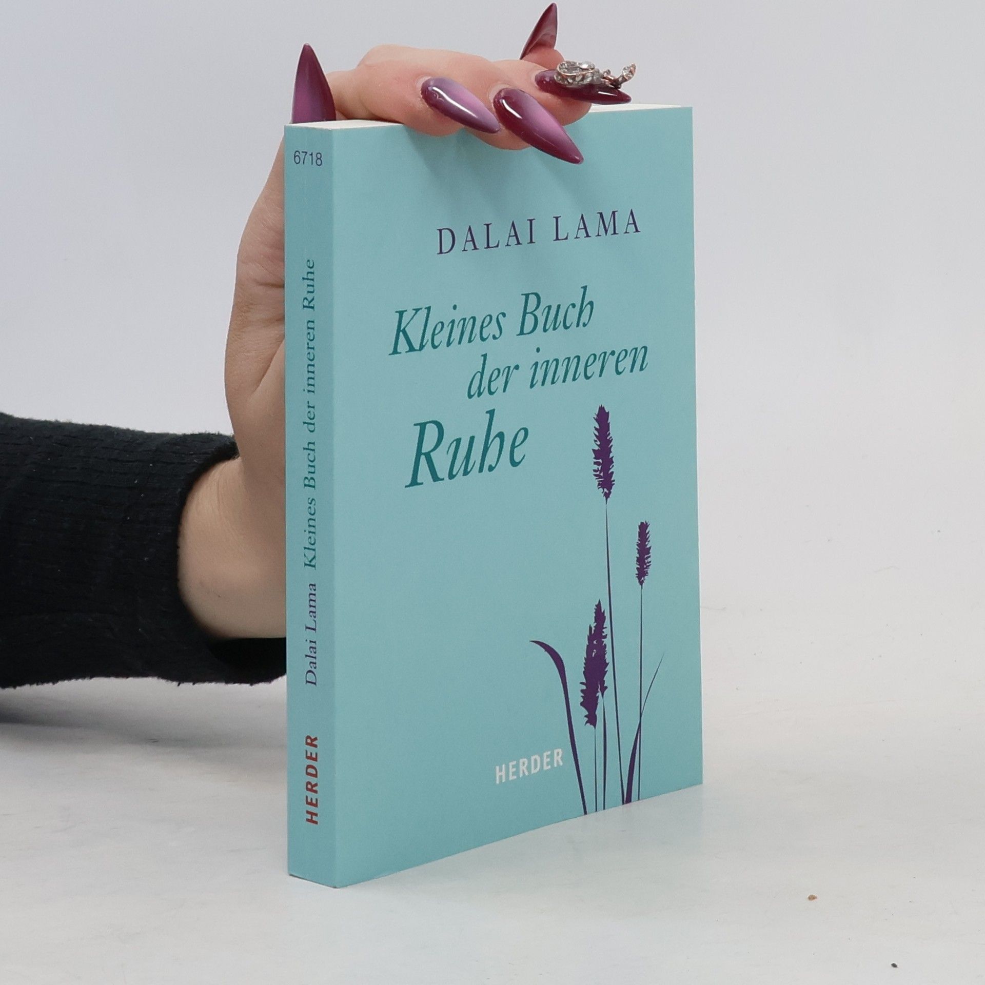 Dalajlama Kleines Buch der inneren Ruhe