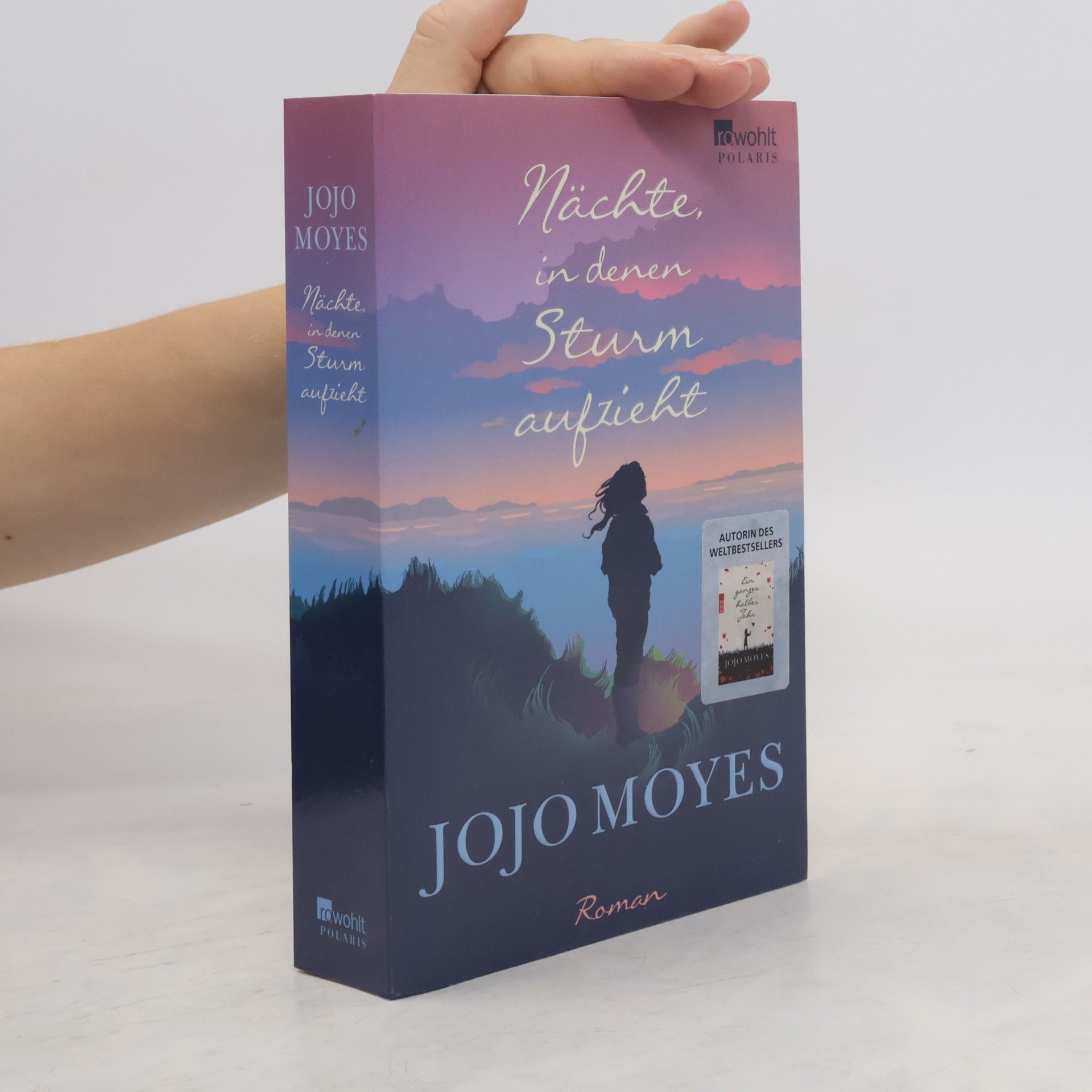 Jojo Moyes Nächte in denen Sturm aufzieht
