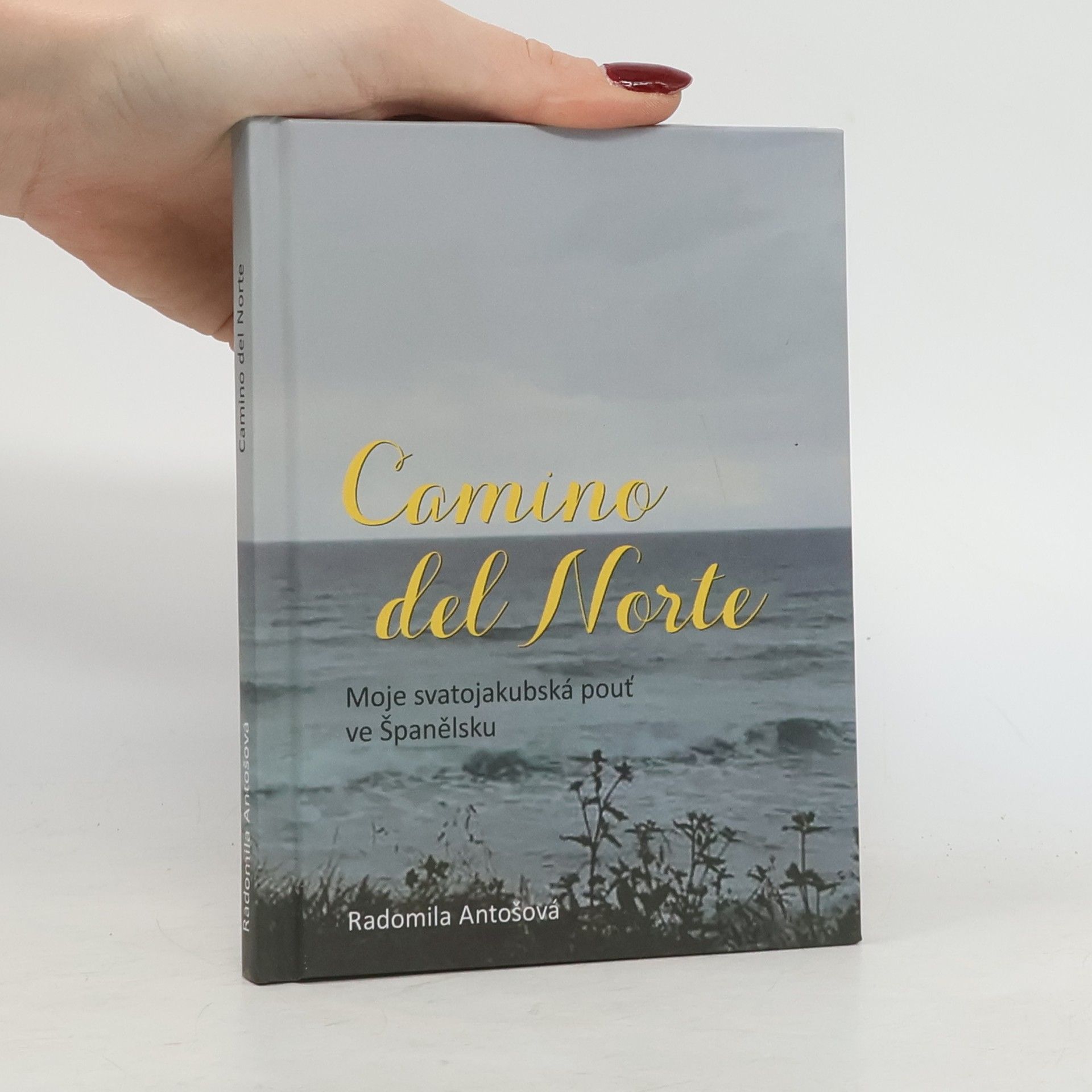 Radomila Antošová Camino del Norte
