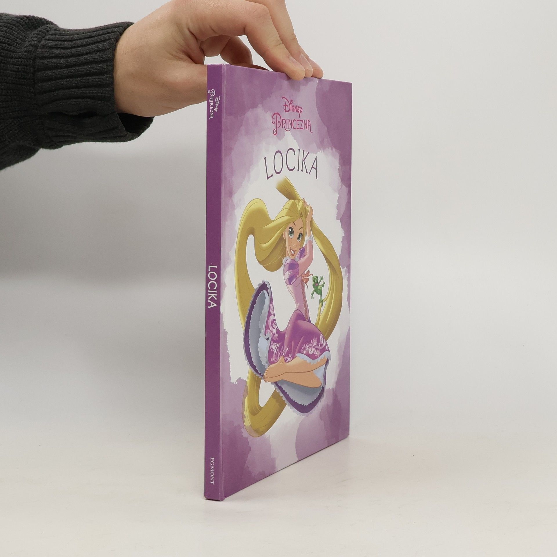 Kolektiv autorů Disney Princezna. Locika