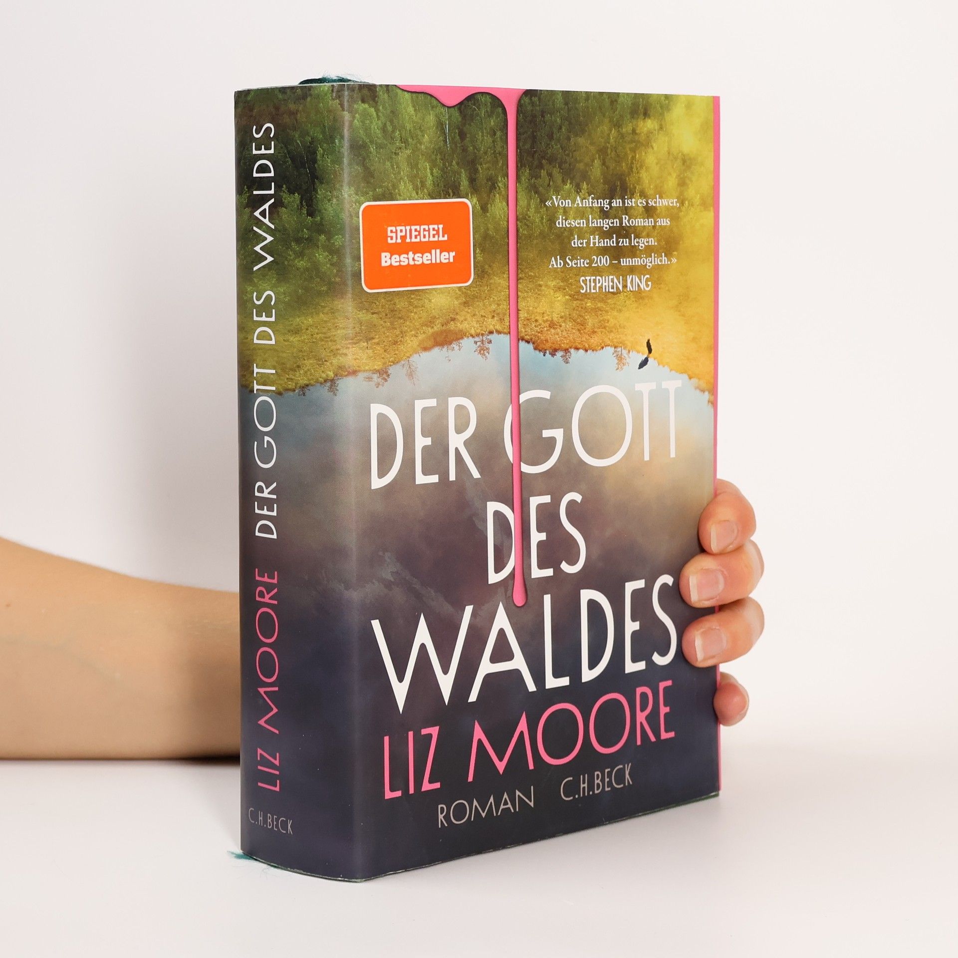 Liz Moore Der Gott des Waldes