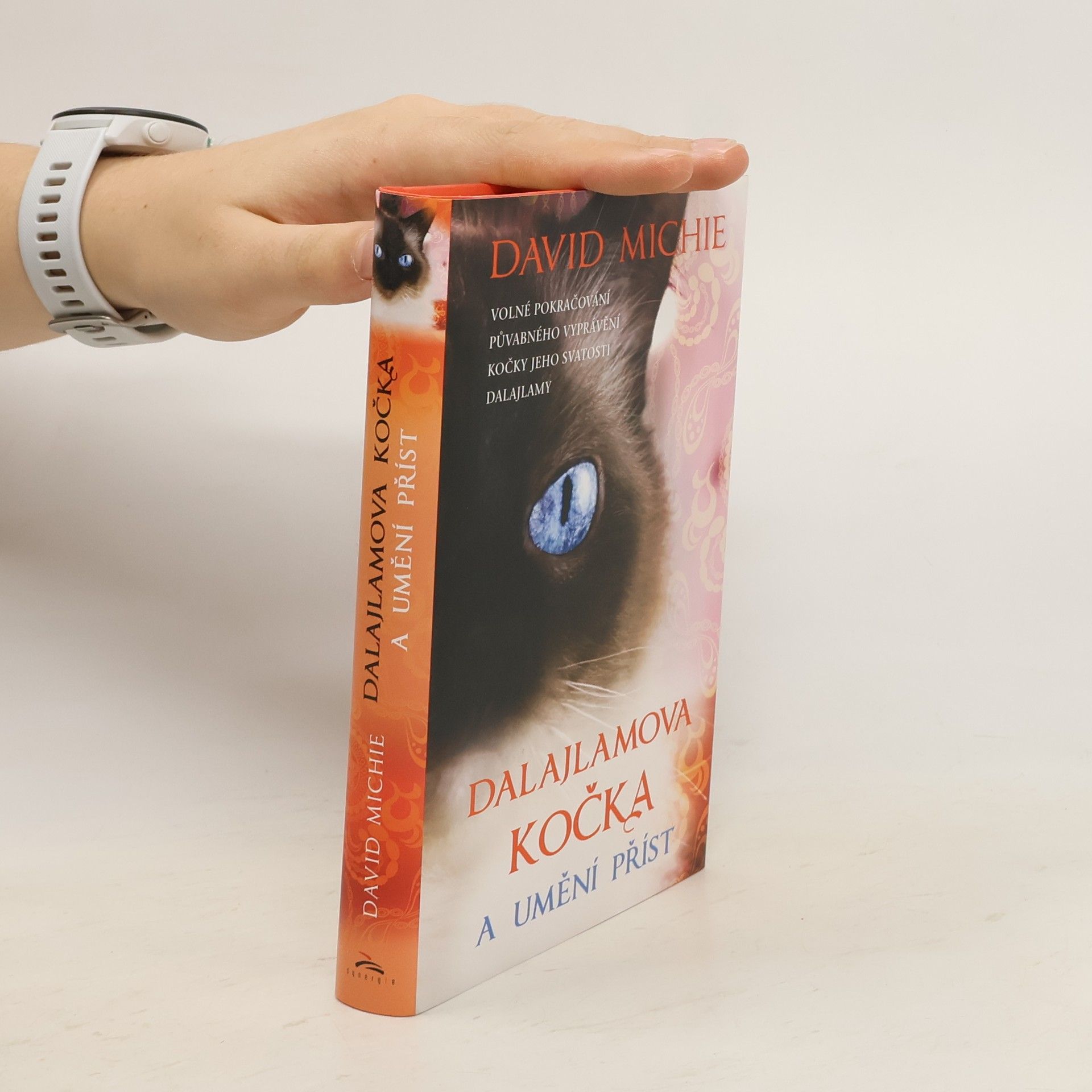 David Michie Dalajlamova kočka a umění příst
