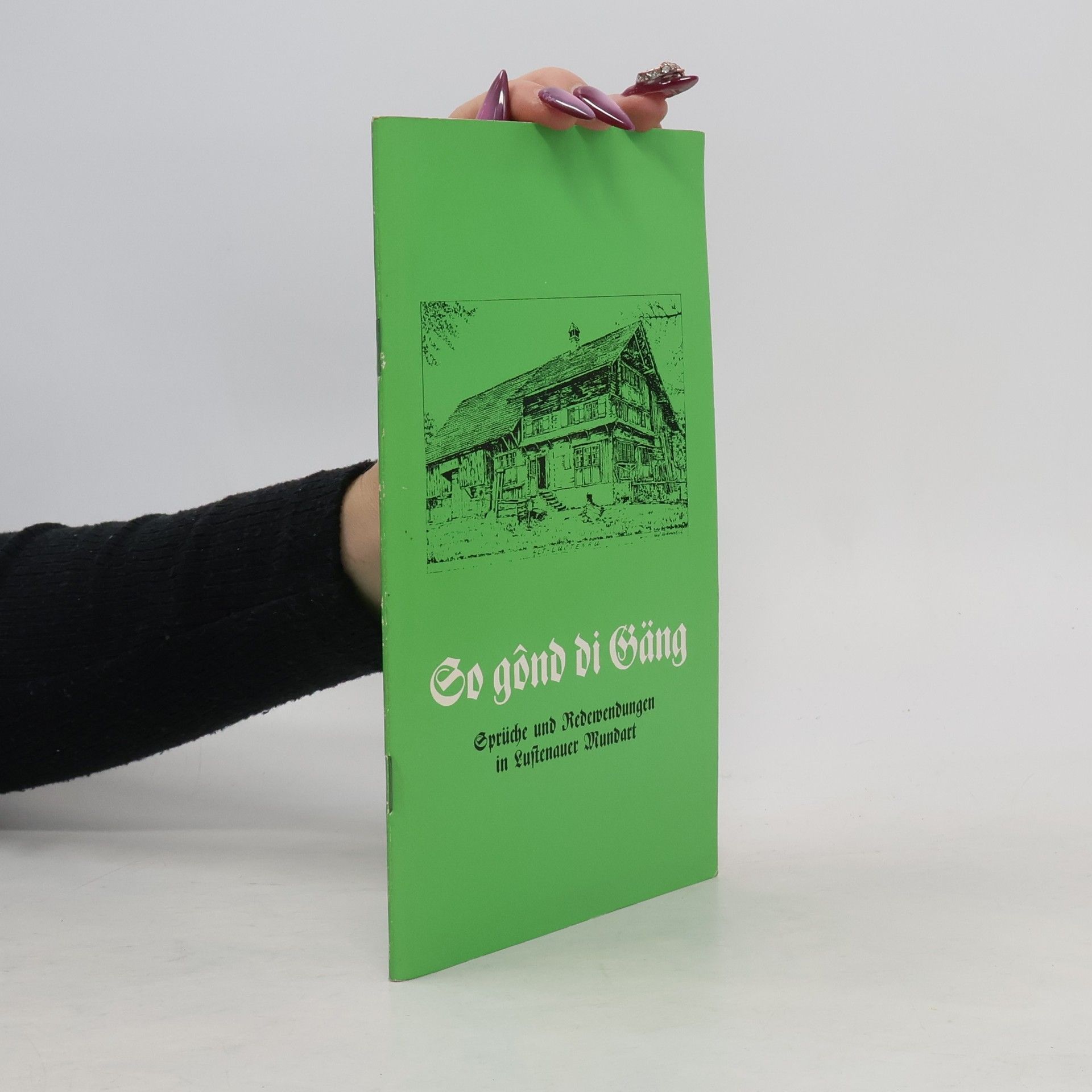 Kolektiv autorů So gônd di Gäng