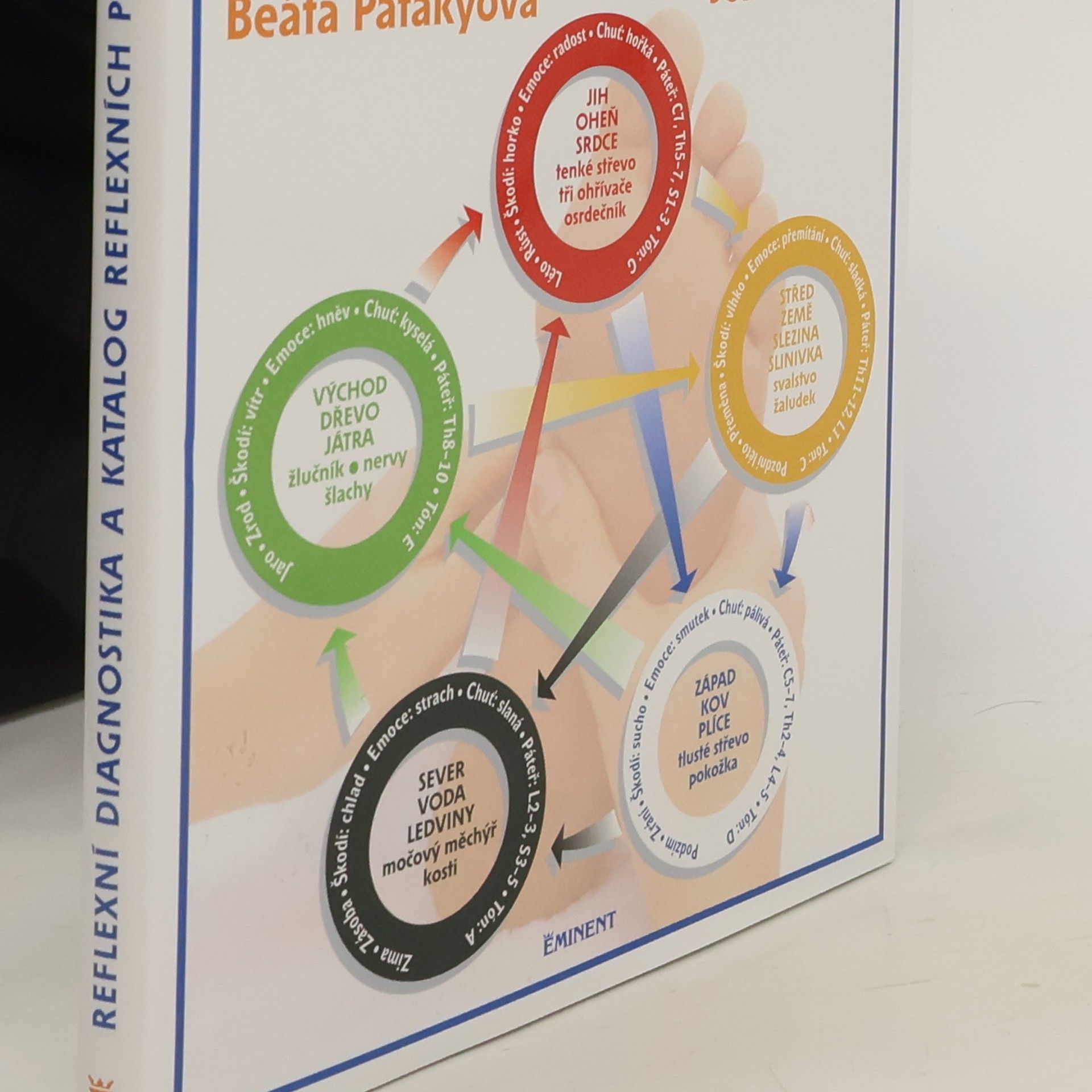 Reflexní diagnostika a katalog reflexních ploch