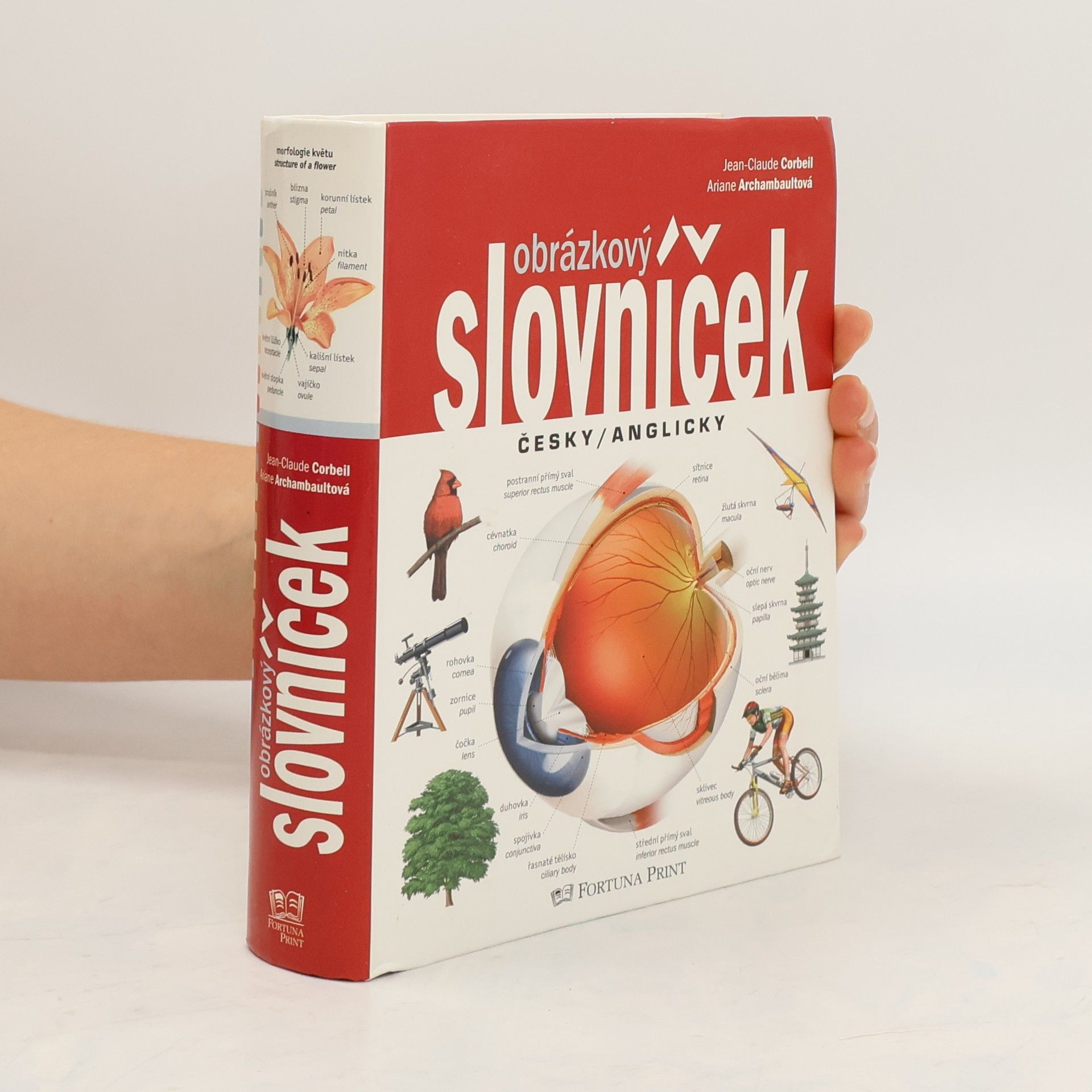 Obrázkový slovníček. Česky/anglicky