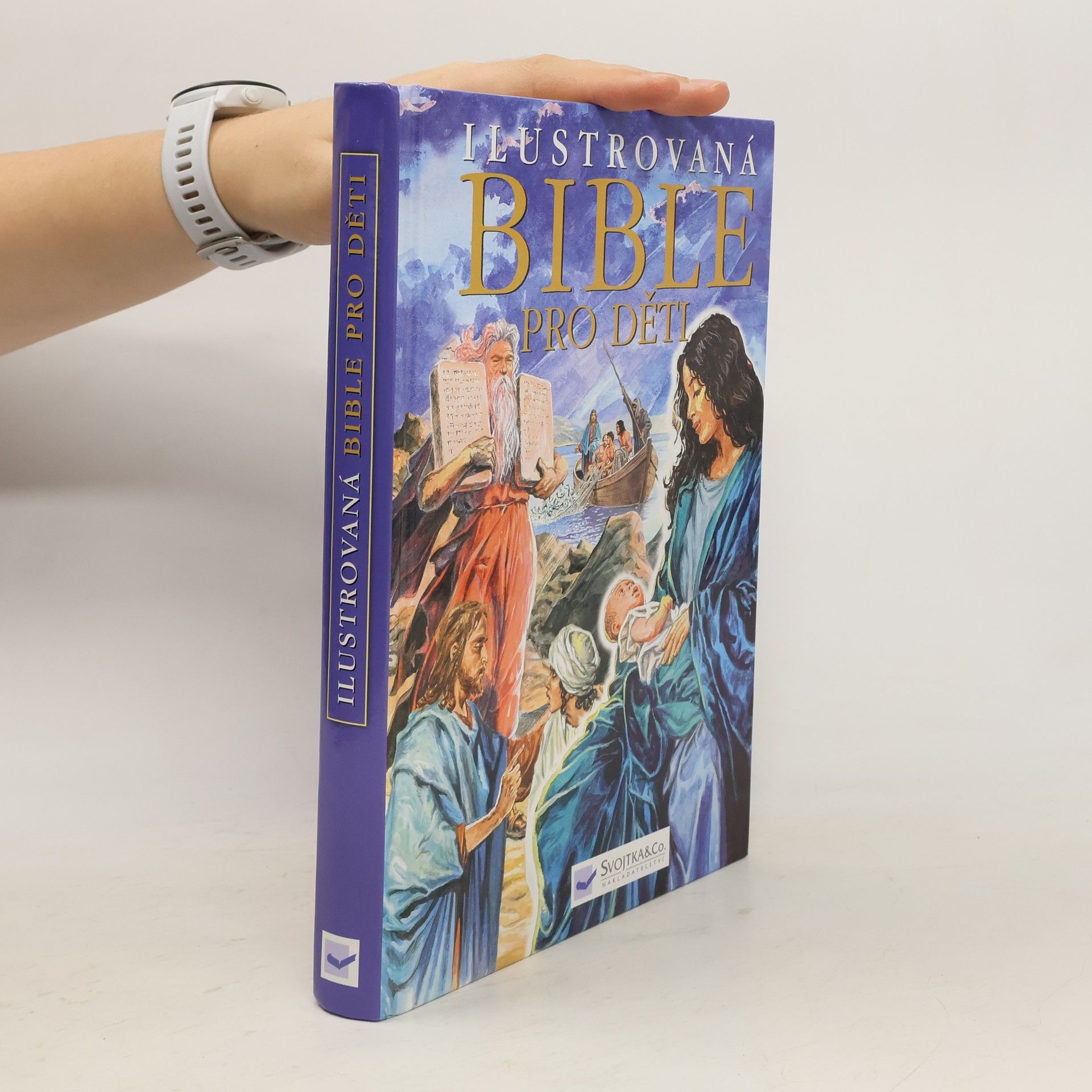 Piotr Krzyýewski Ilustrovaná bible pro děti