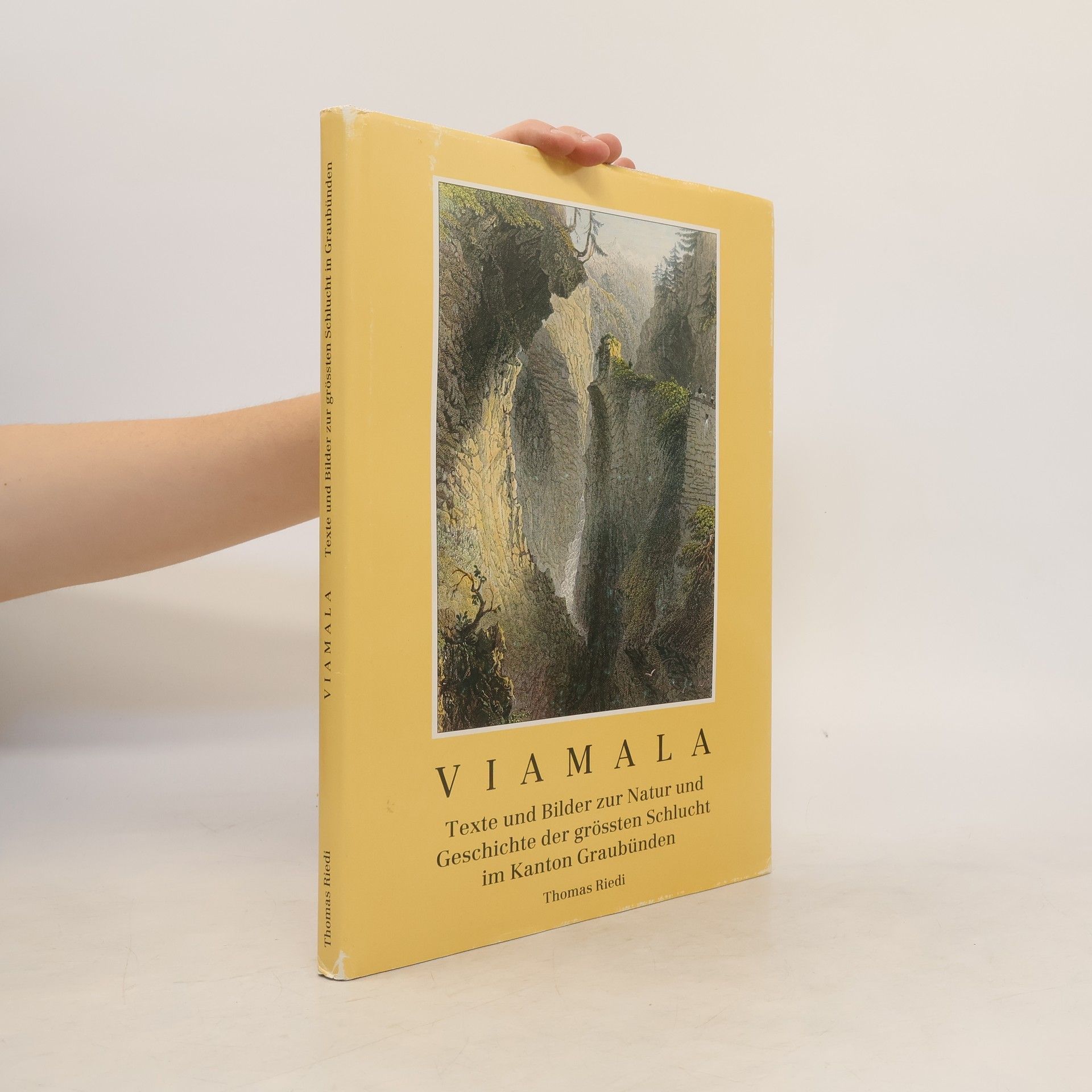 Thomas Riedi Viamala