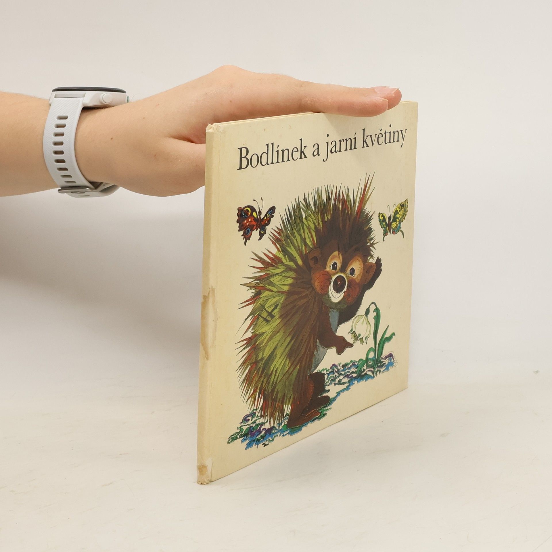 Marianne Feix Bodlínek a jarní květiny