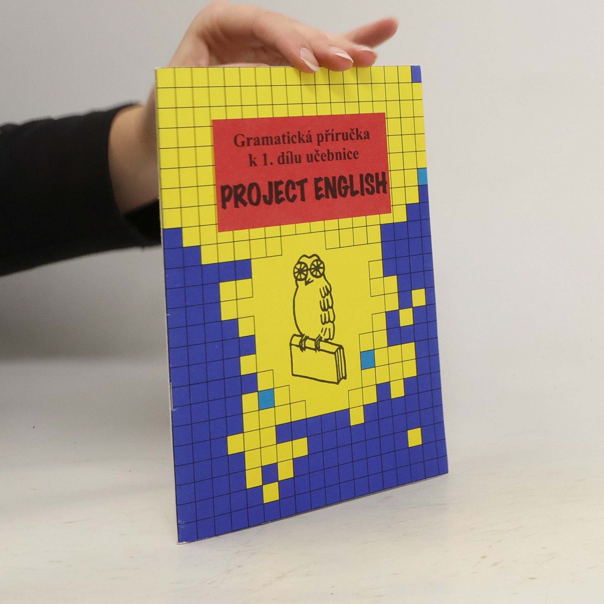 Collectif d'auteurs Project English. Gramatická příručka k 1. dílu