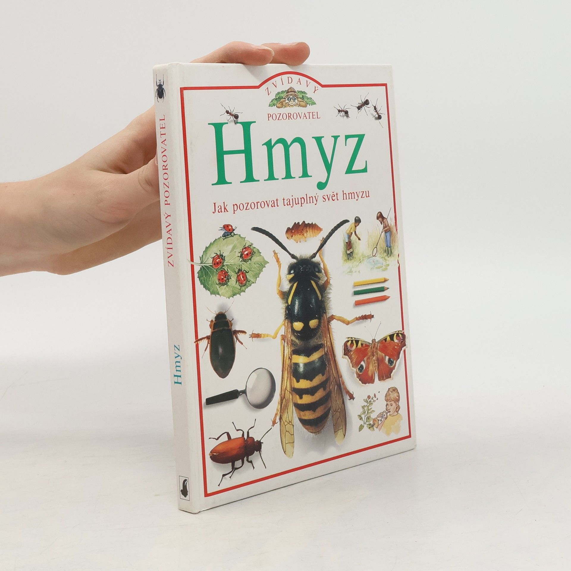 Steve Parker Hmyz, jak pozorovat tajuplný svět hmyzu