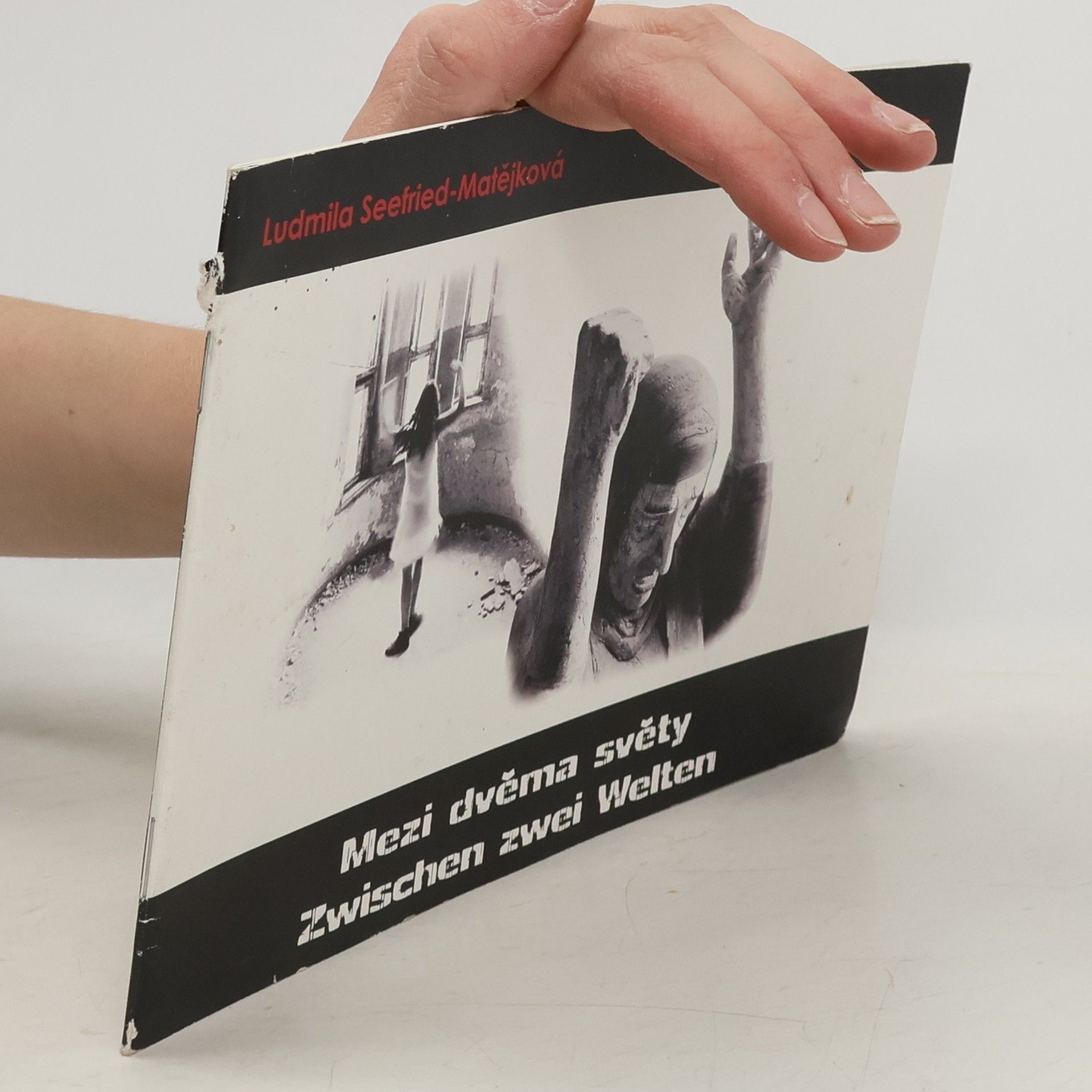 Ludmila Seefried-Matějková Mezi dvěma světy. Zwischen zwei Welten
