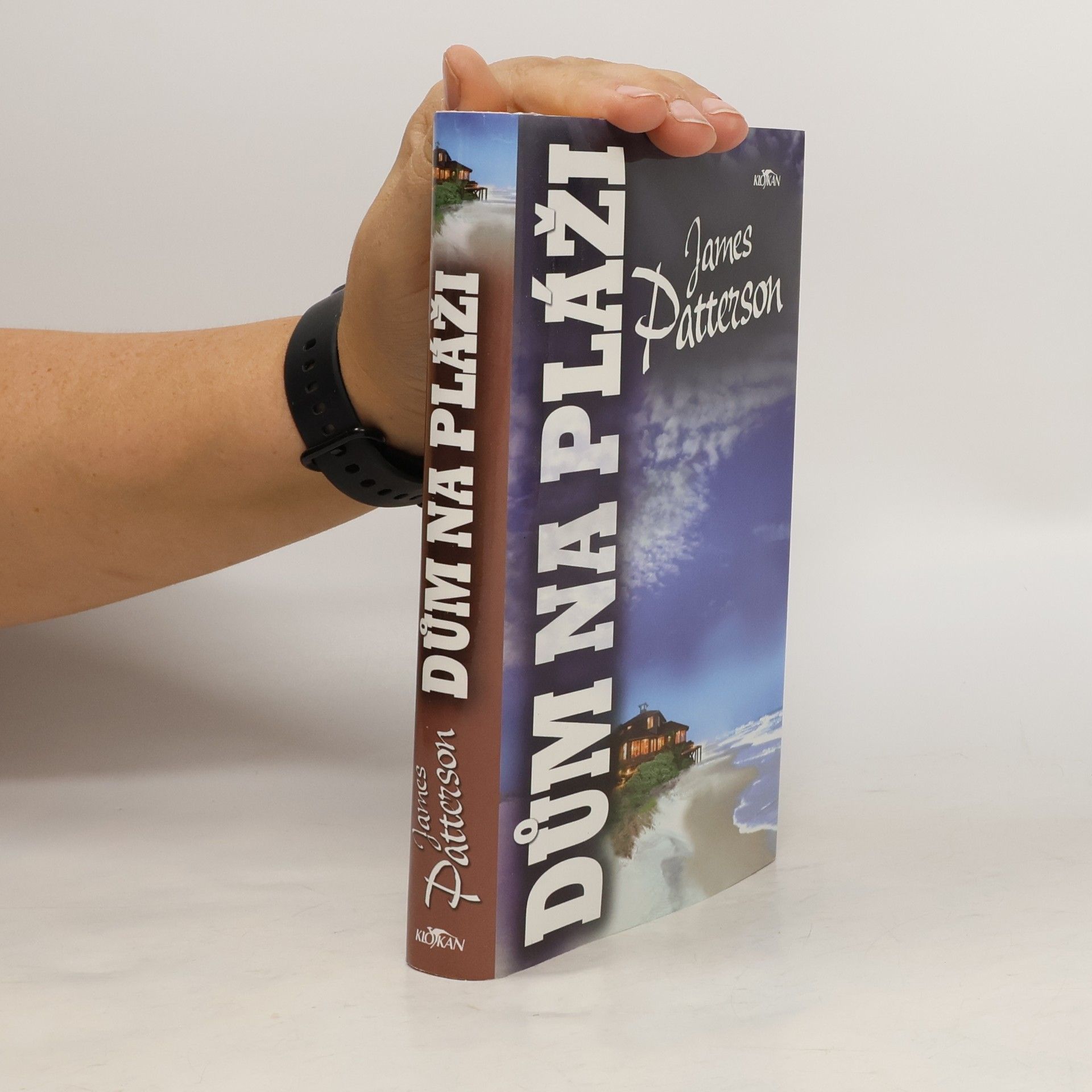 James Patterson Dům na pláži