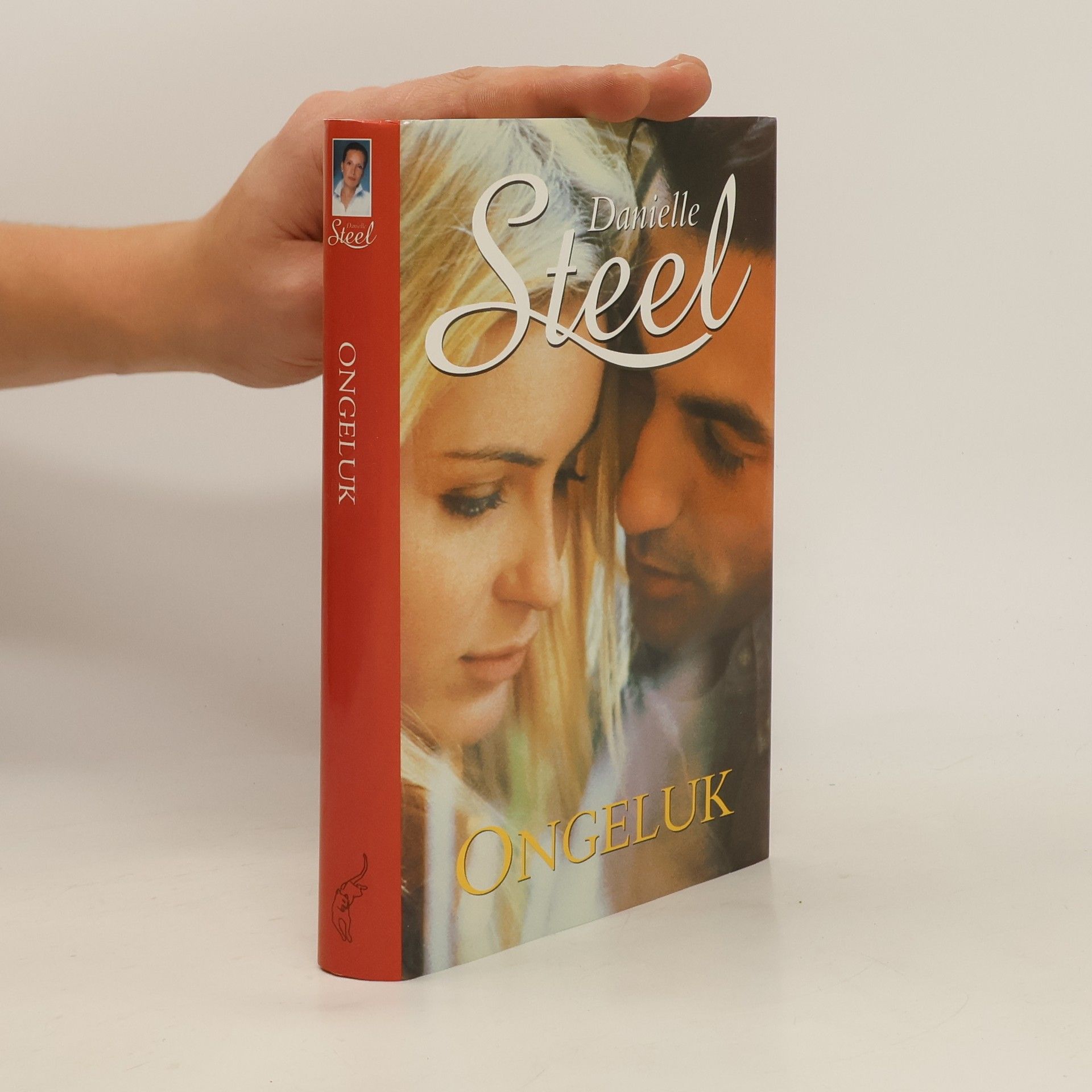 Danielle Steel Ongeluk