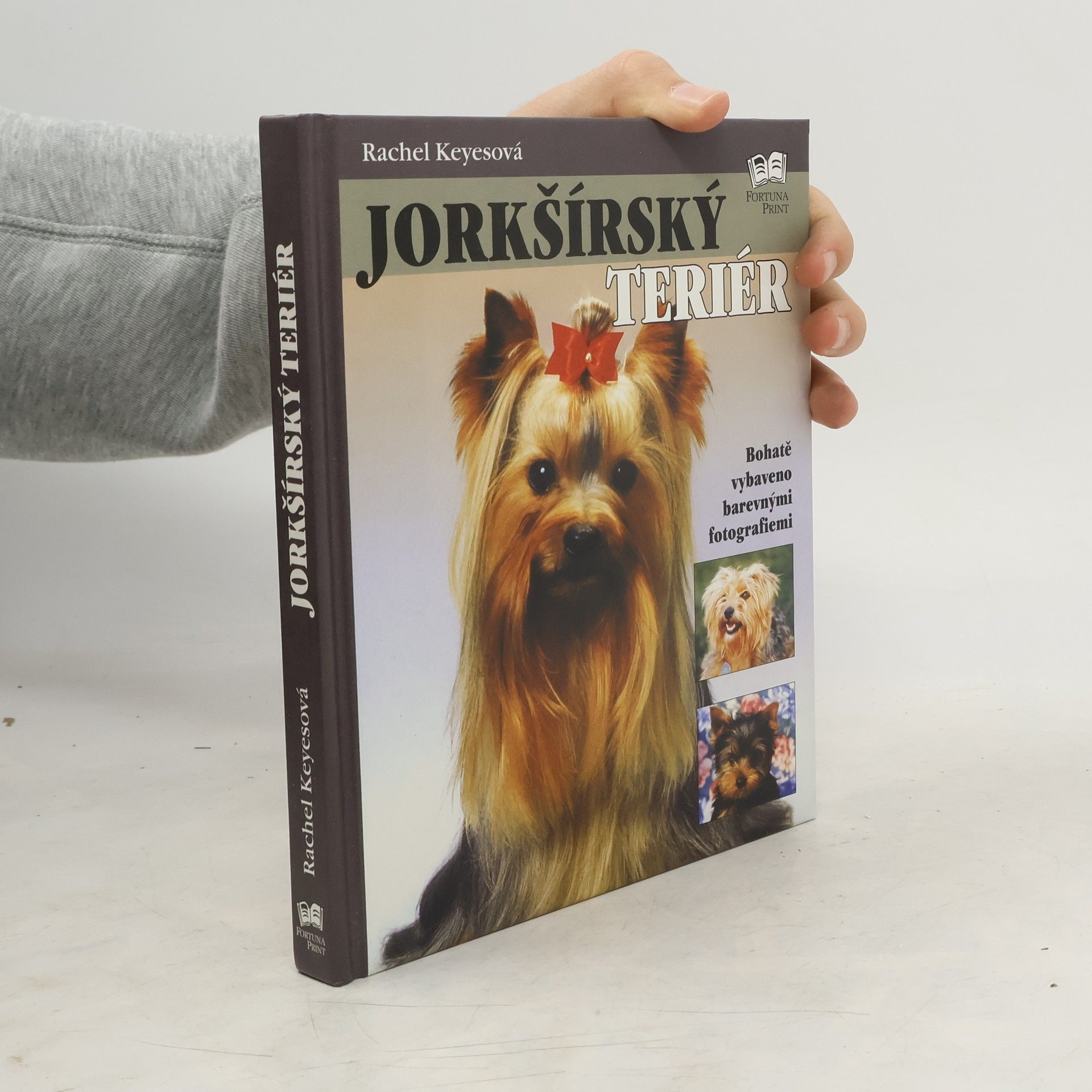 Rachel Keyes Jorkšírský teriér