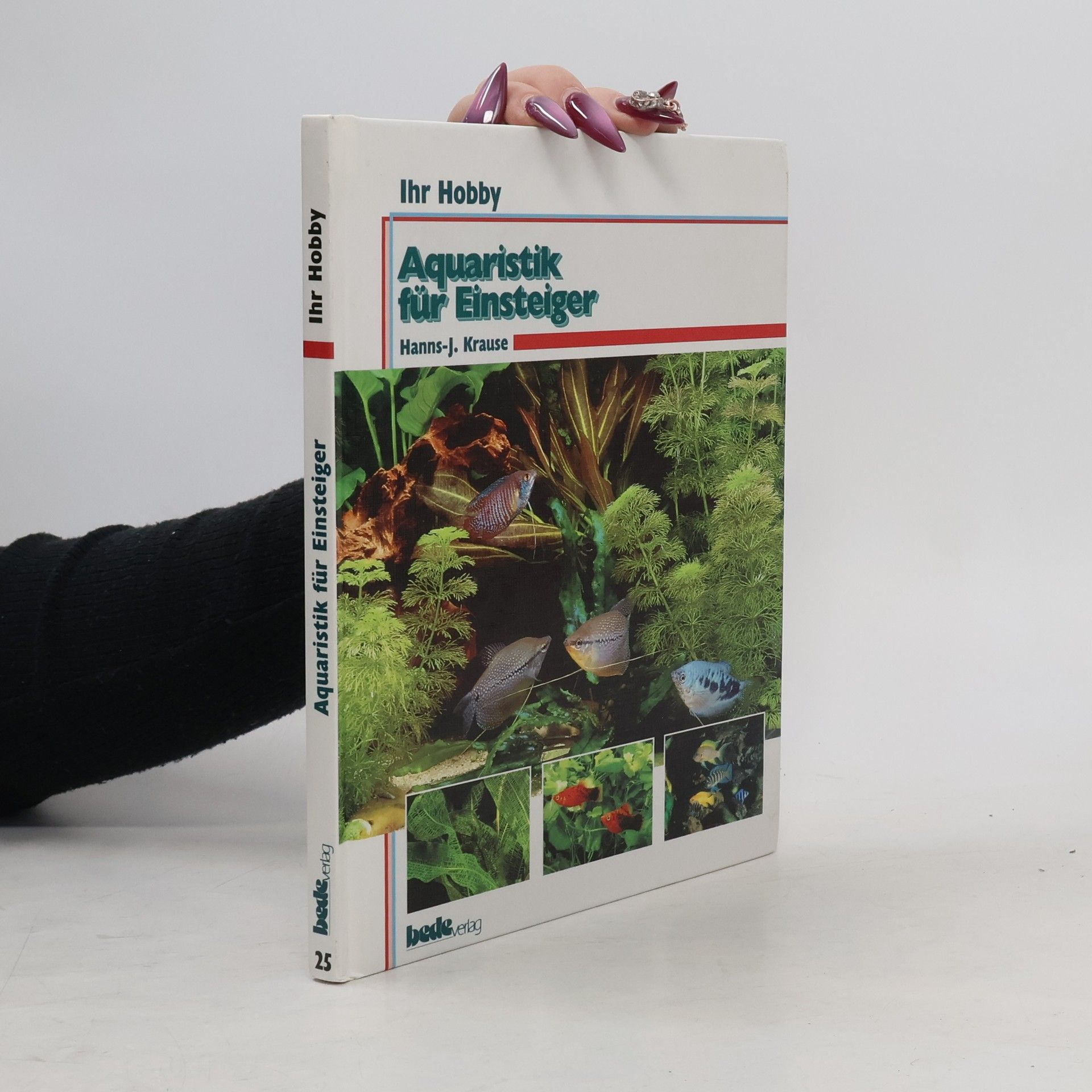 Aquaristik für Einsteiger