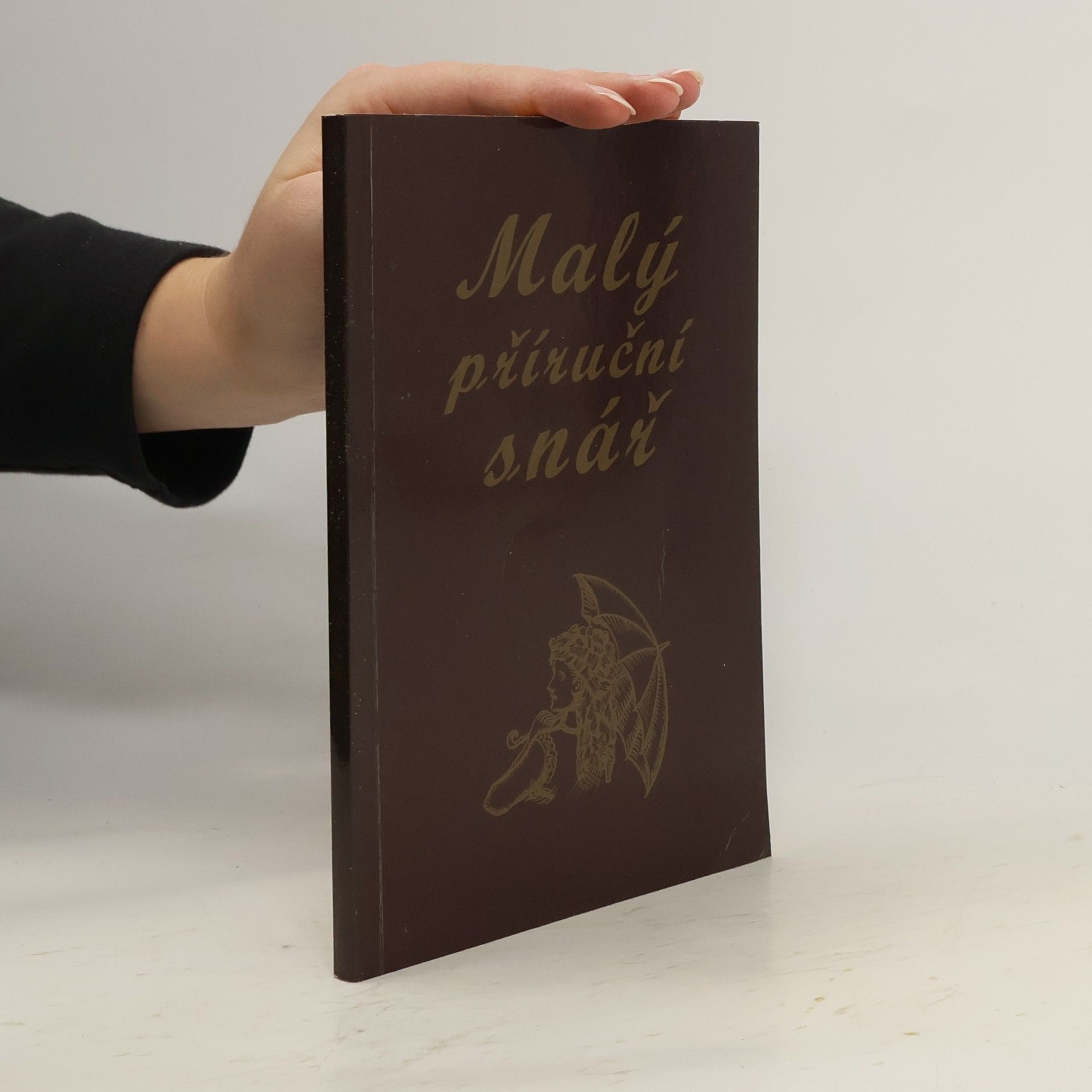 Kolektív autorov Malý příruční snář