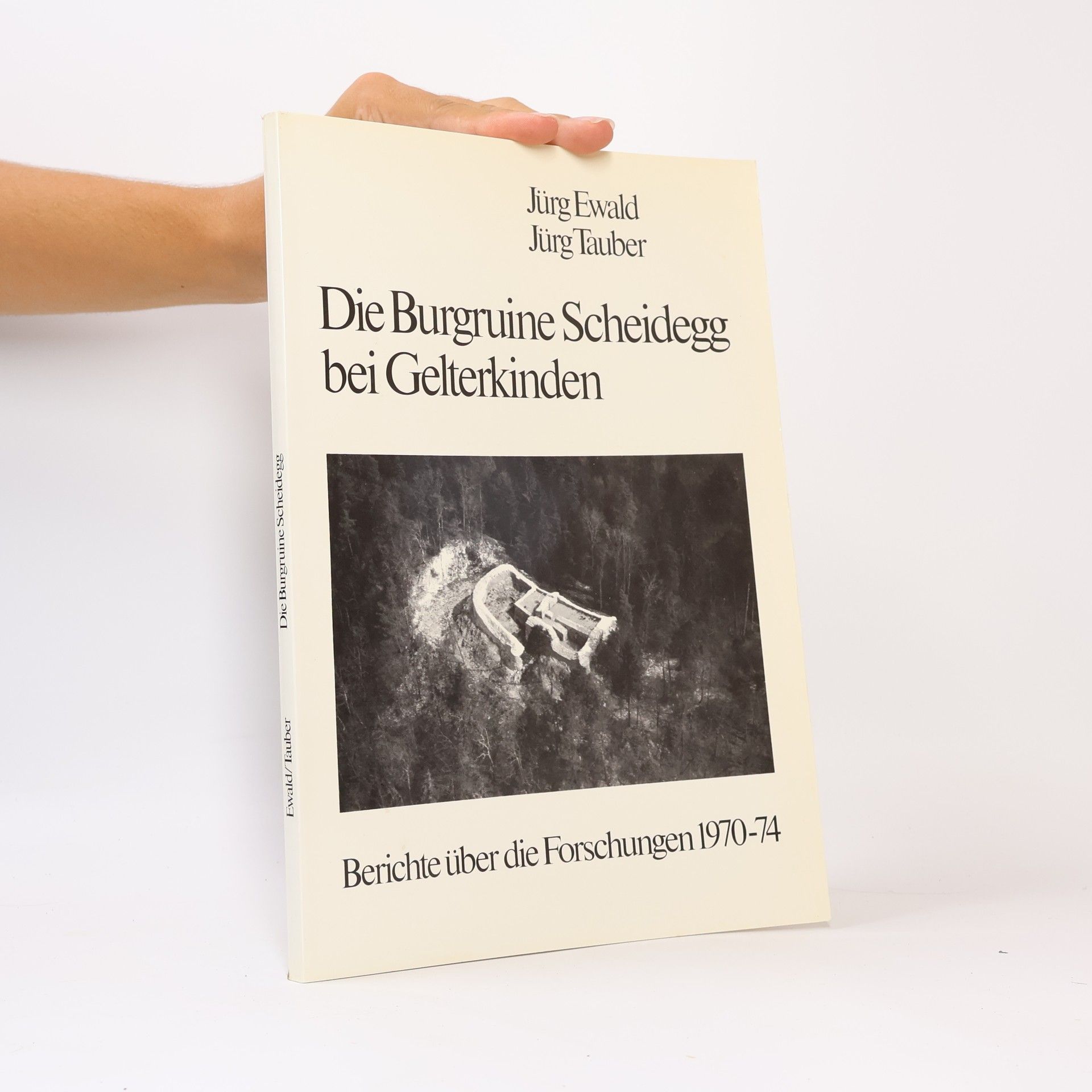 Die Burgruine Scheidegg bei Gelterkinden