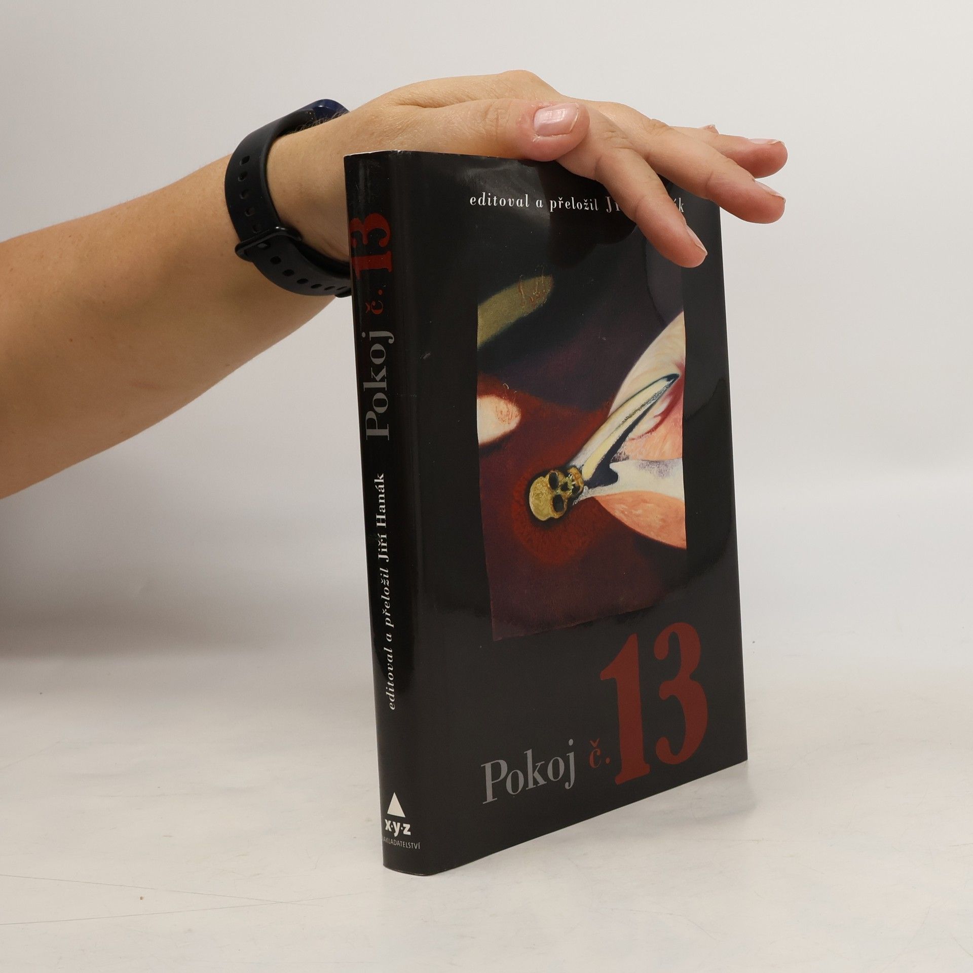 Jiří Hanák Pokoj č. 13