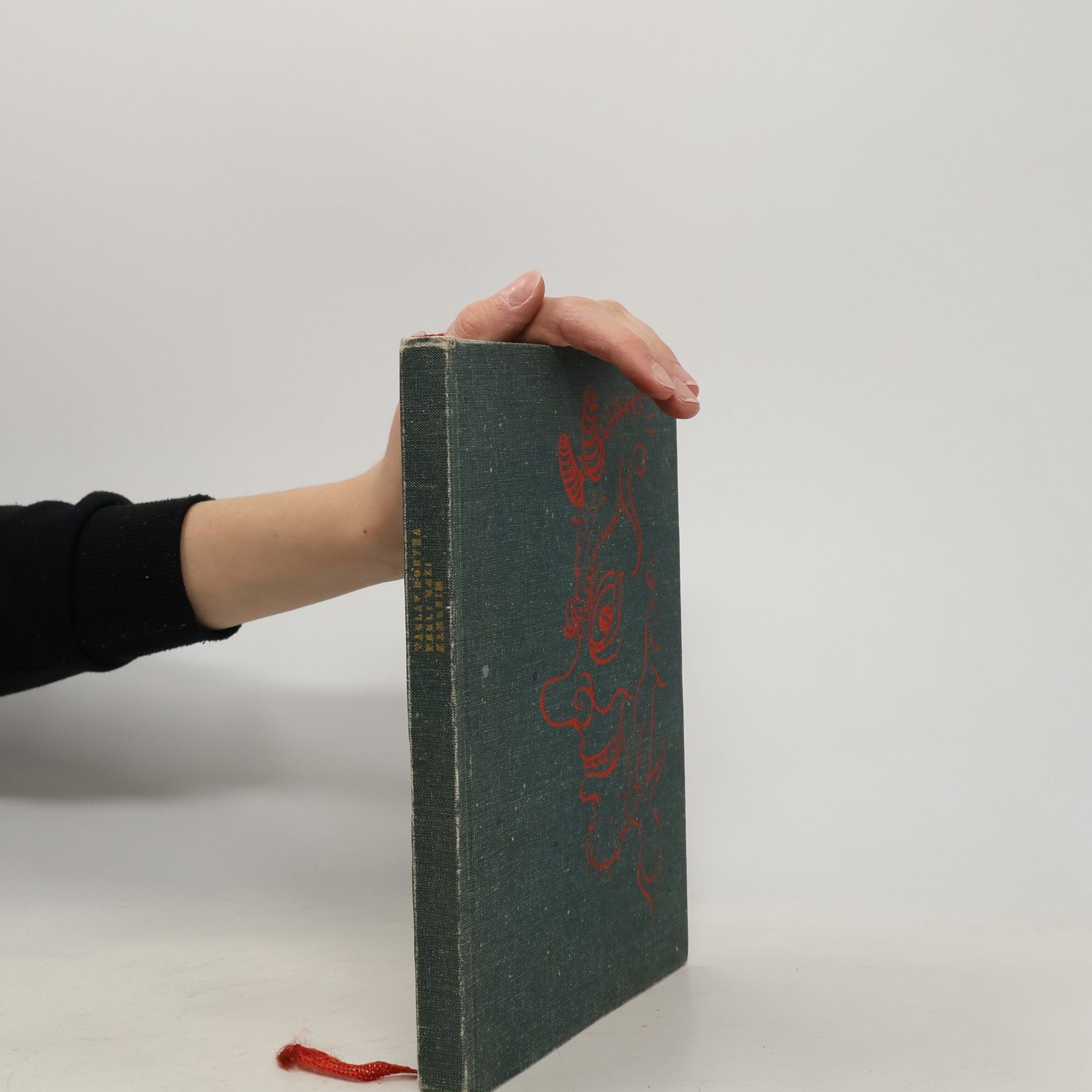 Václav Horyna Perly mezi kamením