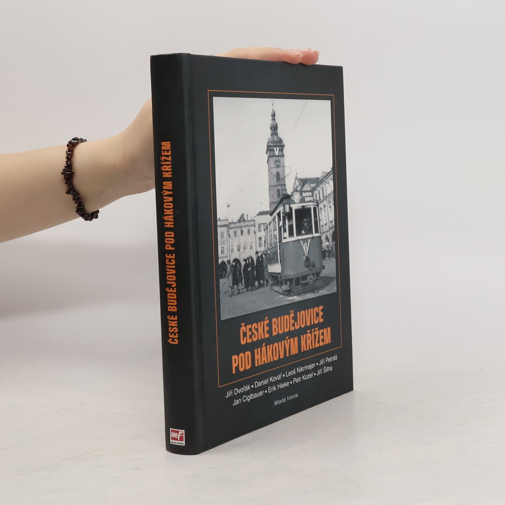 Jiří Dvořák České Budějovice pod hákovým křížem