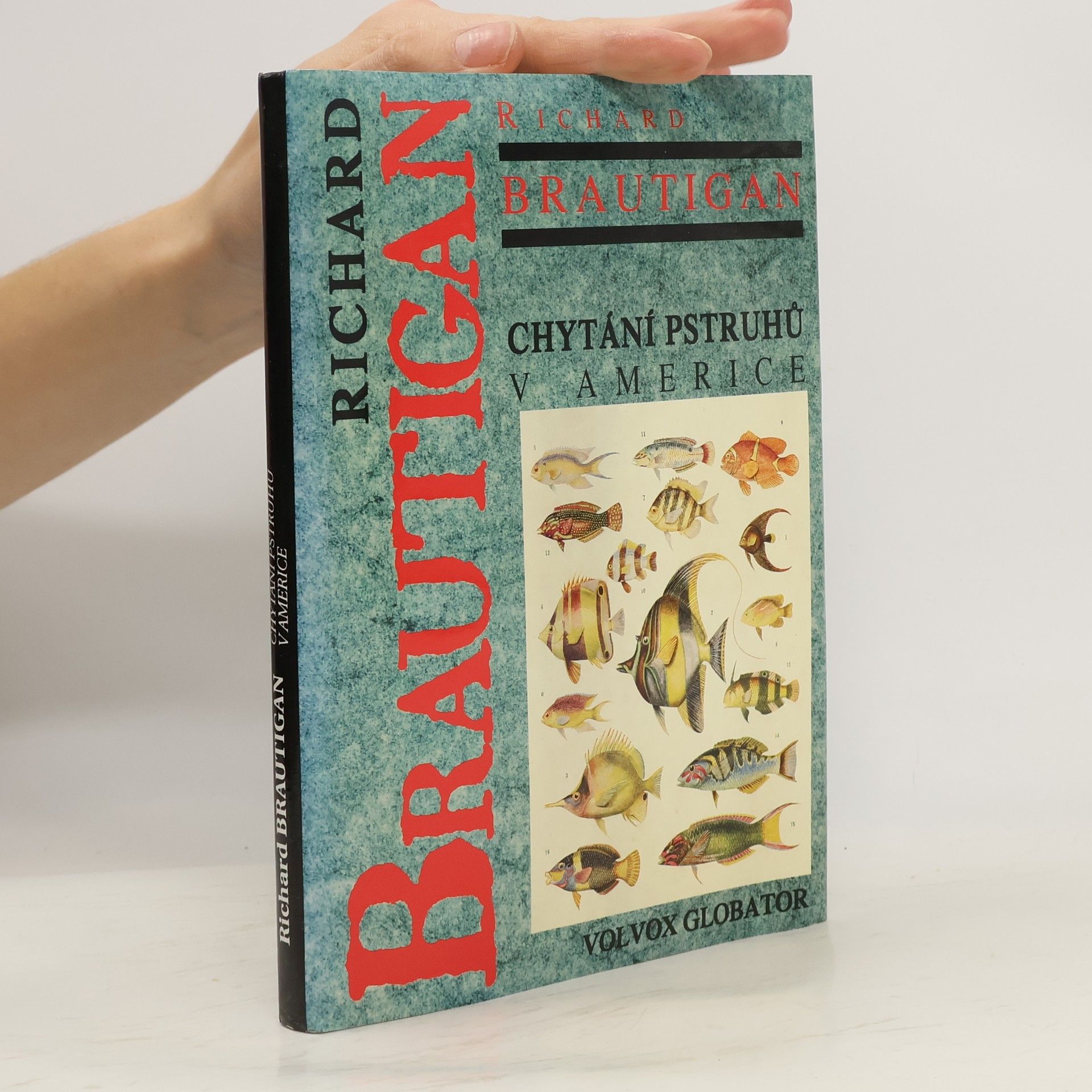 Richard Brautigan Chytání pstruhů v Americe