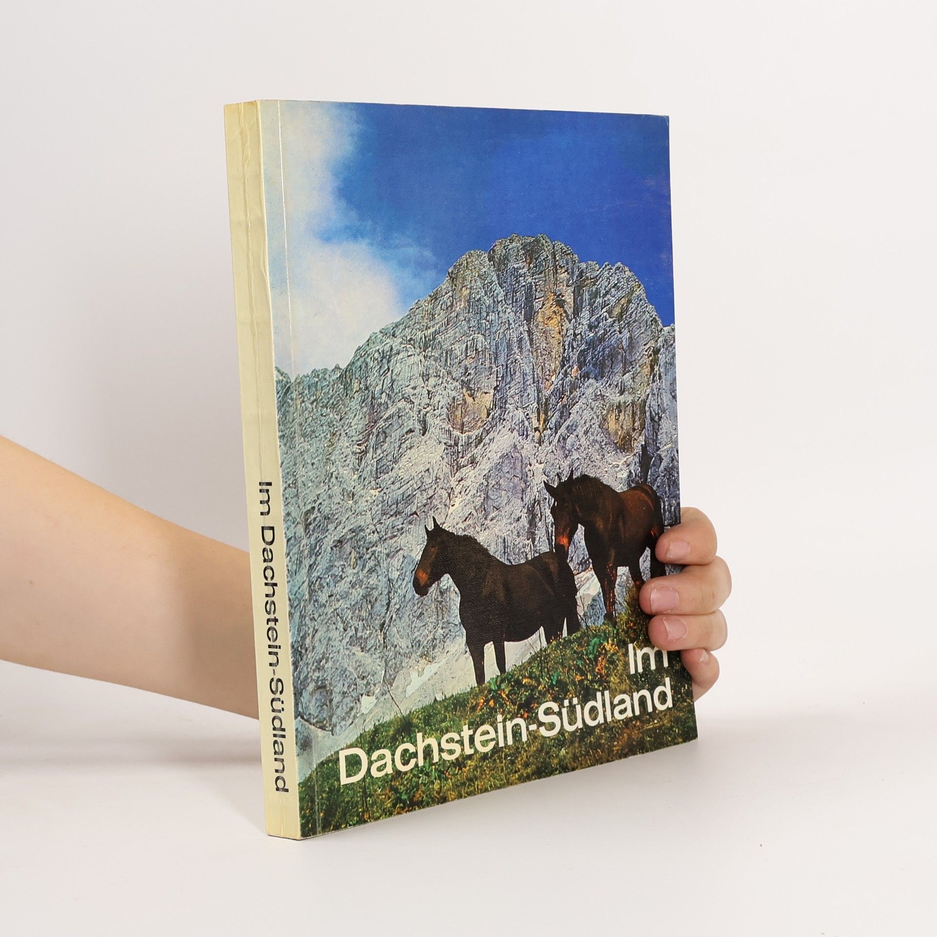 Erwin Putz Im Dachstein Südland