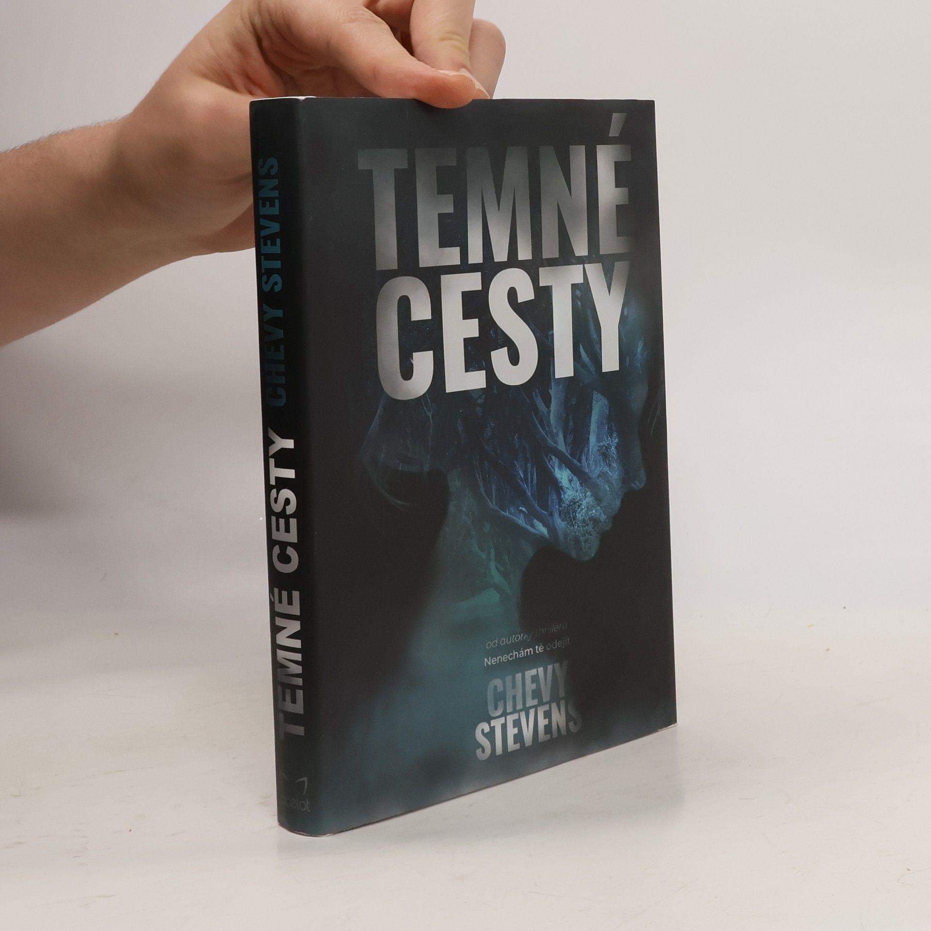 Chevy Stevens Temné cesty