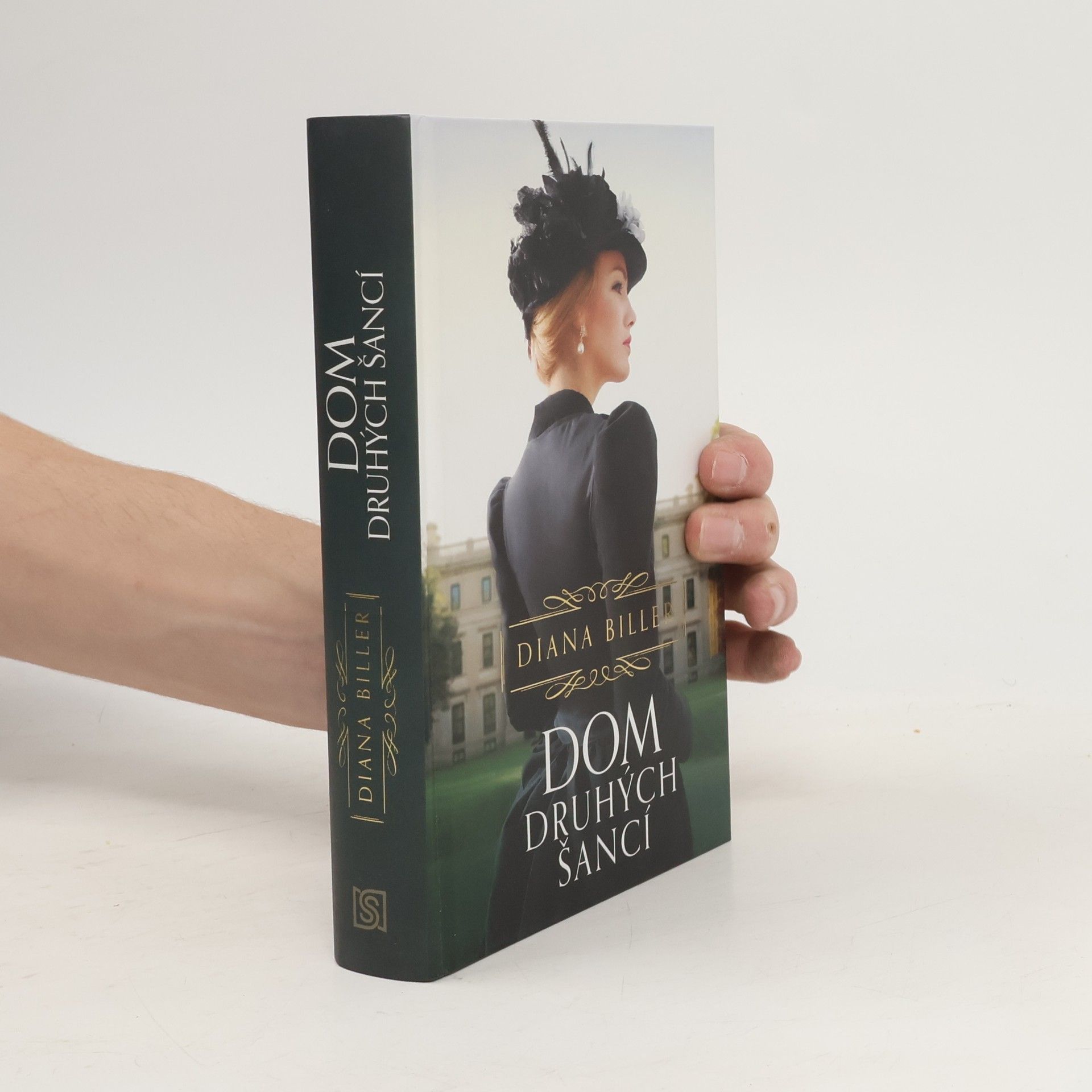 Diana Biller Dom druhých šancí
