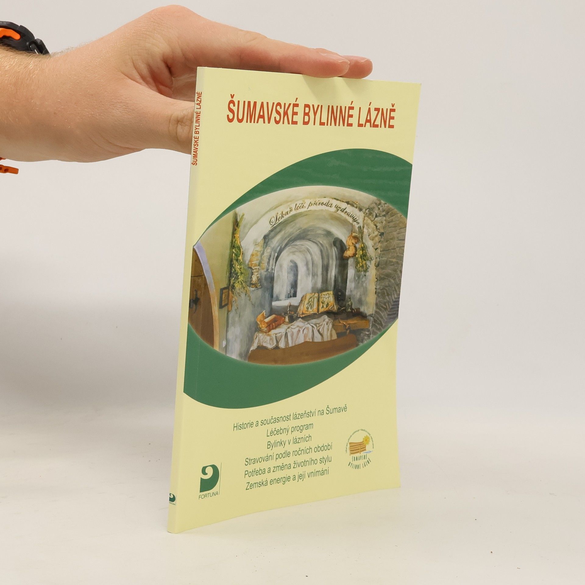 Kolektiv autorů Šumavské bylinné lázně