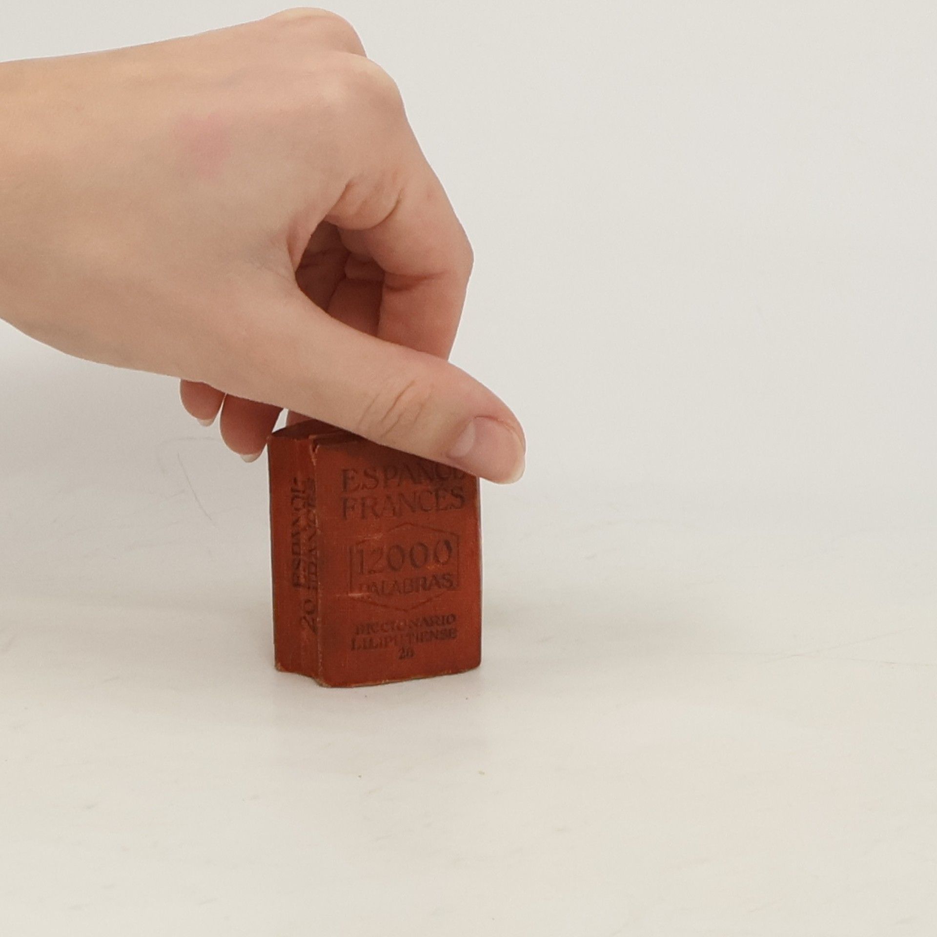 Collectif d'auteurs Diccionario liliputiense Español - Francés