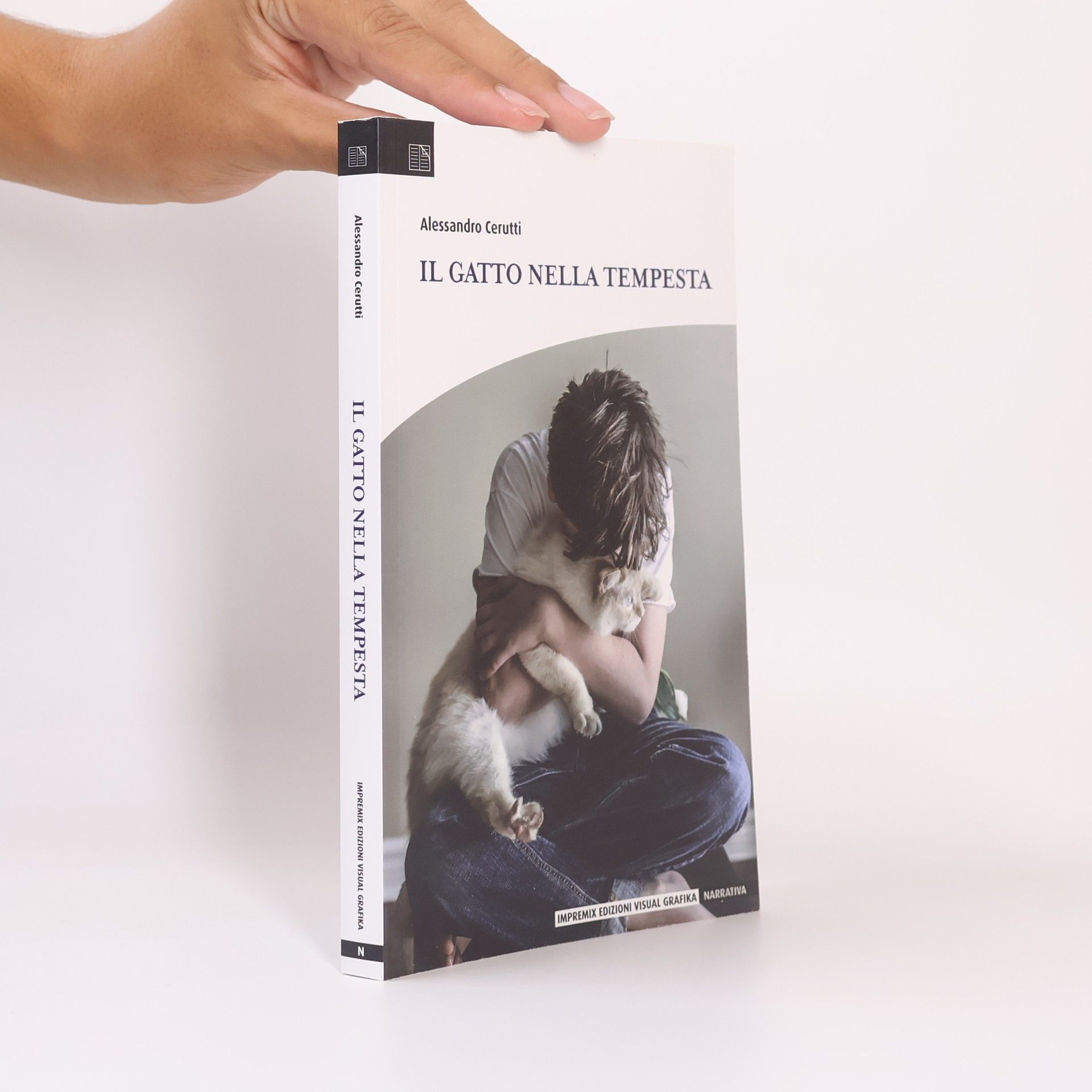 Il gatto nella tempesta