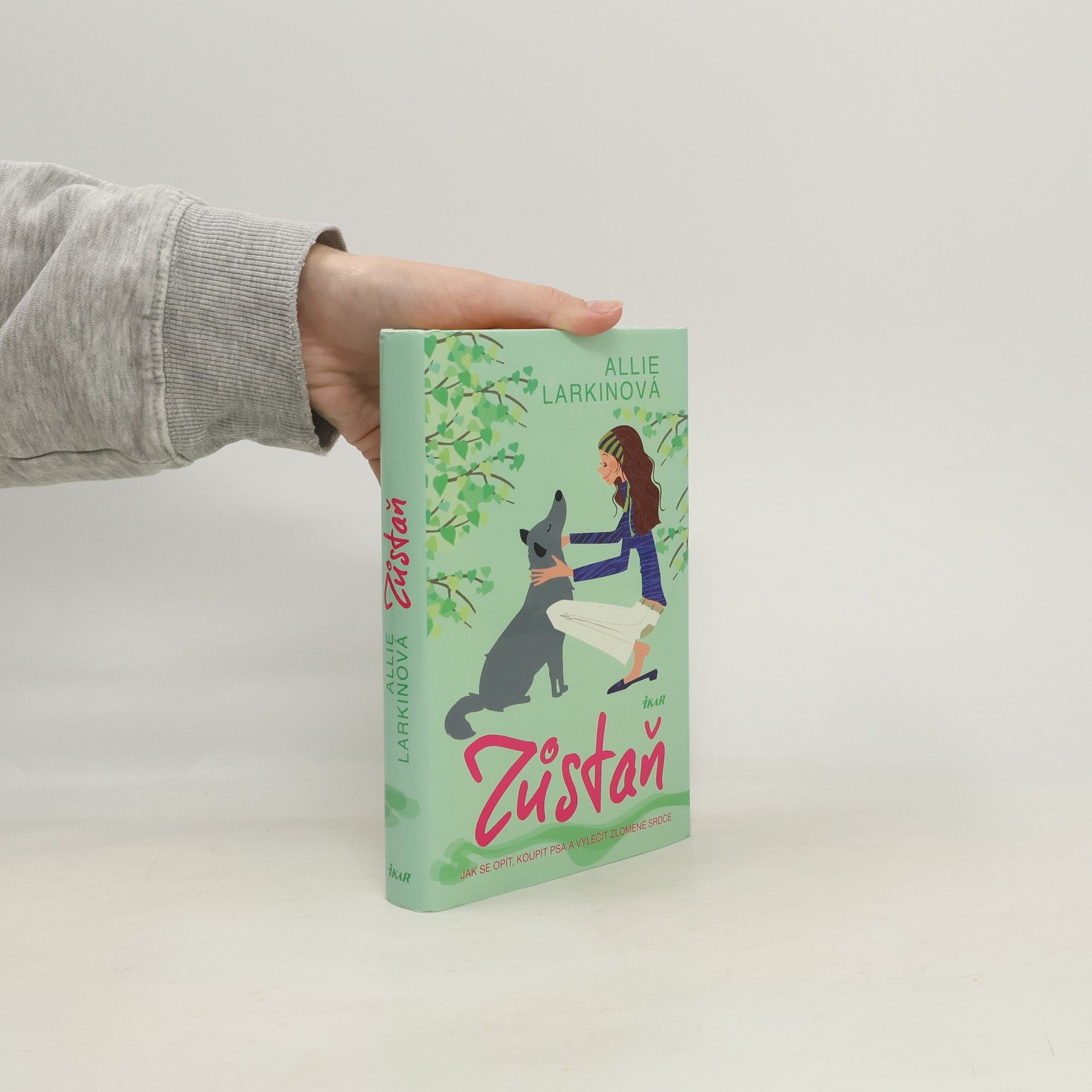 Zůstaň. Jak se opít, koupit psa a vyléčit zlomené srdce