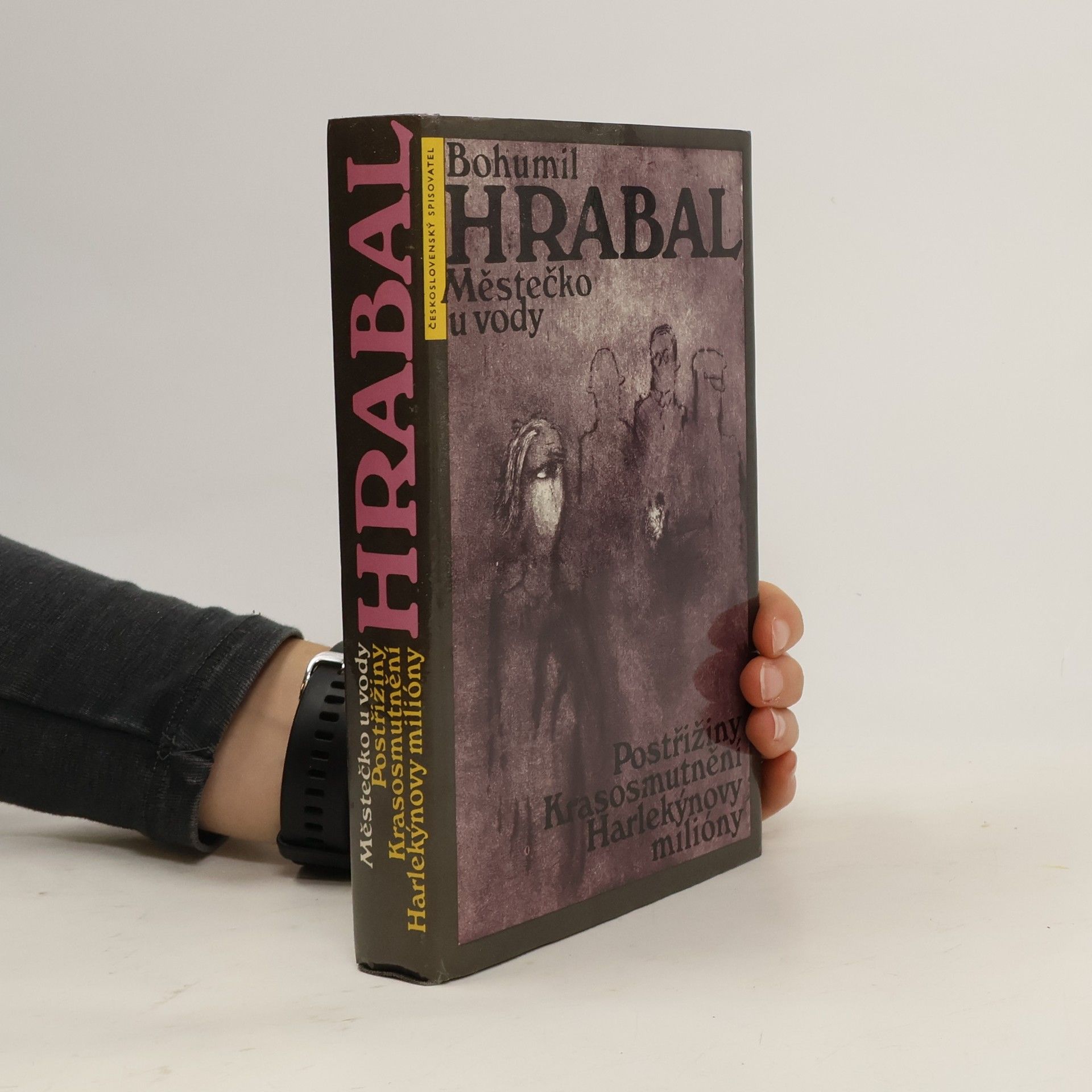 Bohumil Hrabal Městečko u vody