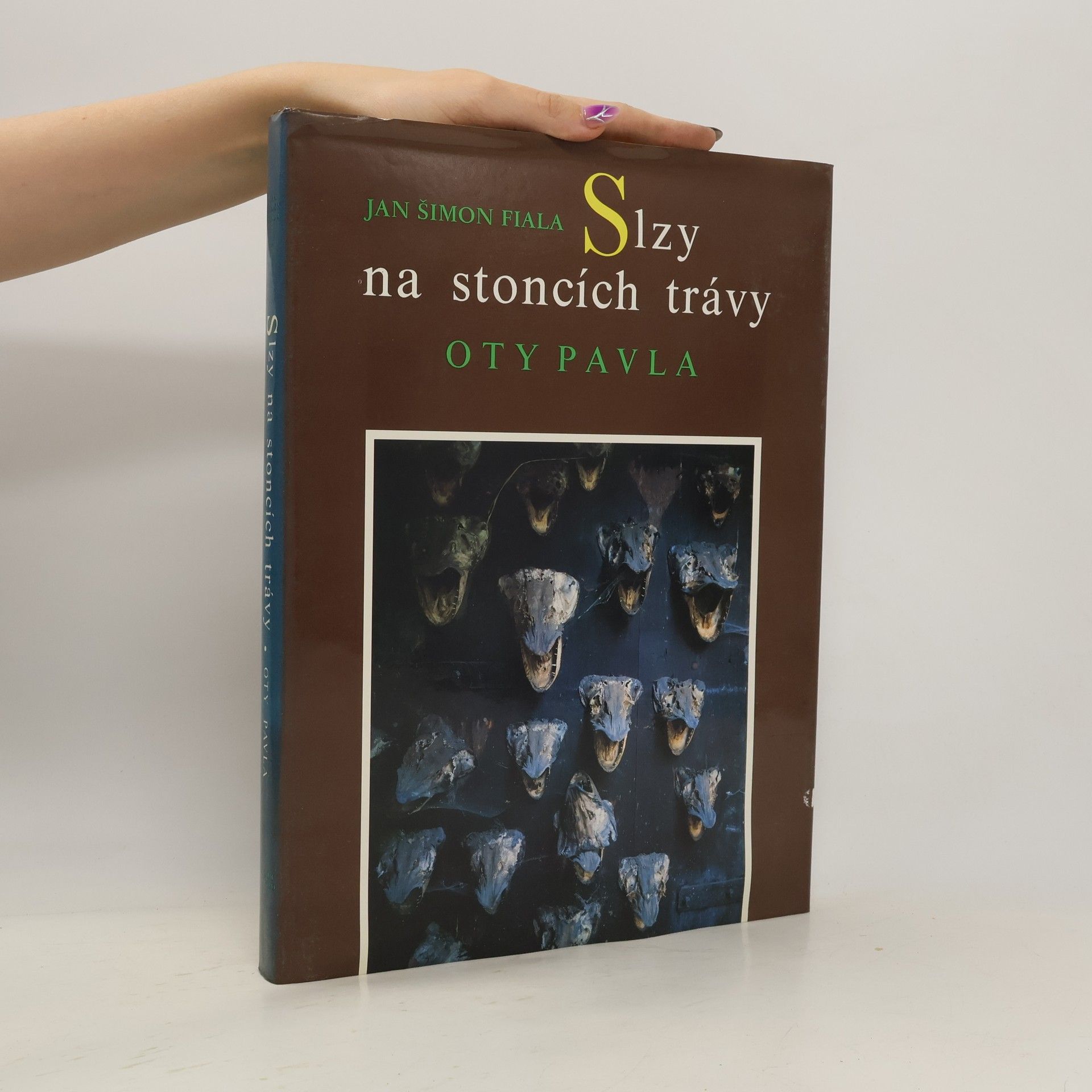 Slzy na stoncích trávy Oty Pavla