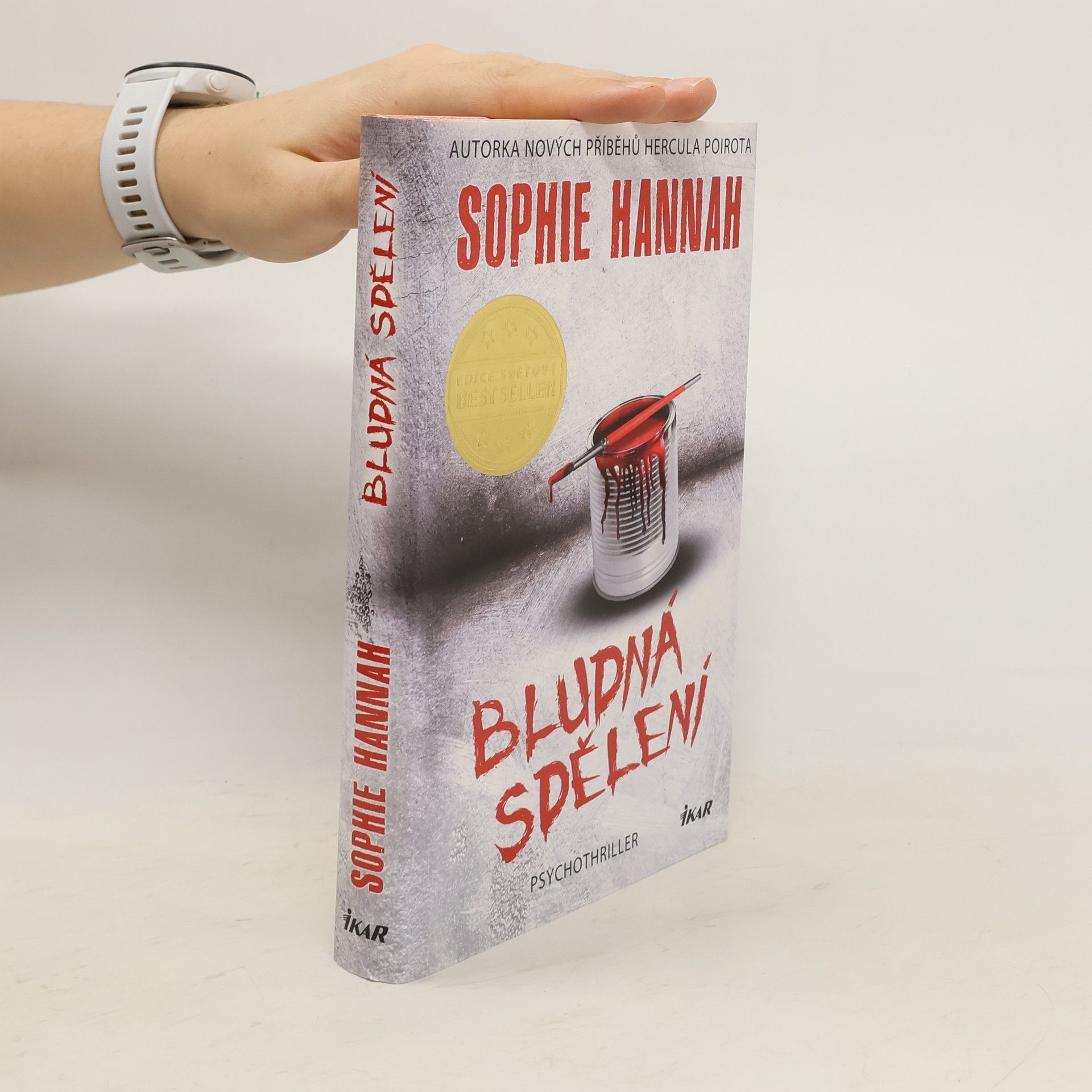 Sophie Hannah Bludná sdělení